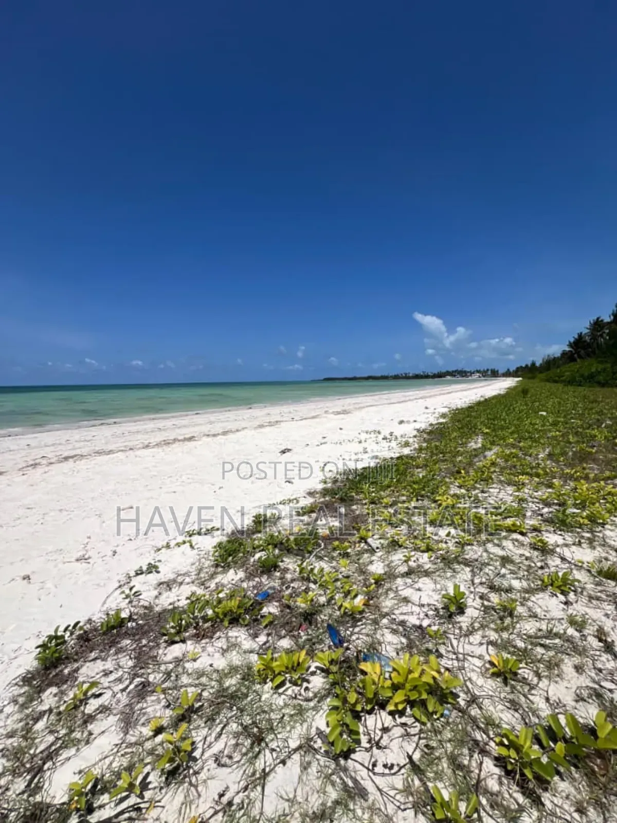 Whitesand Beach Plot for Sale in Pongwe, Zanzibar in Unguja North