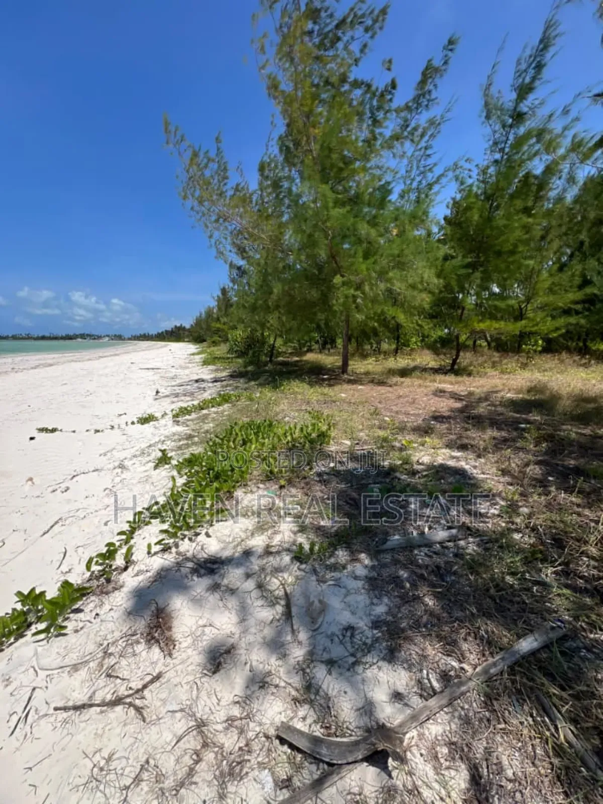 Whitesand Beach Plot for Sale in Pongwe, Zanzibar in Unguja North