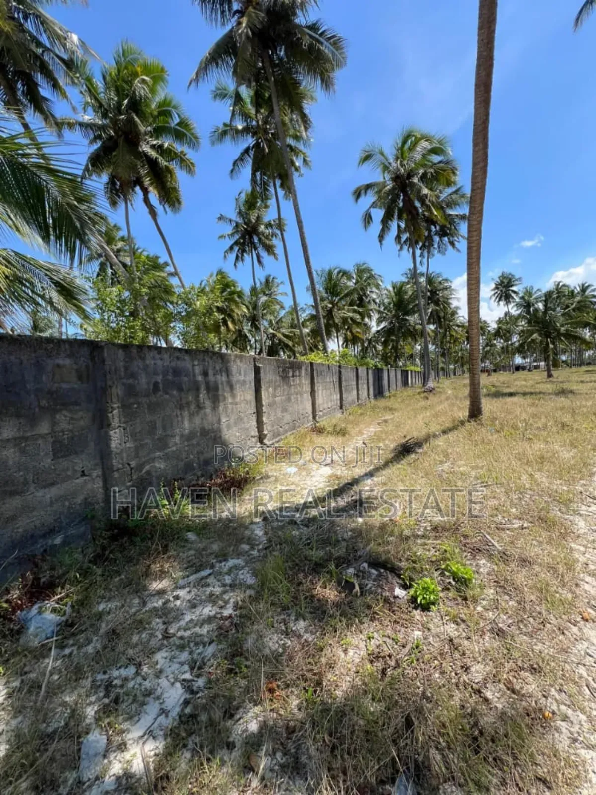 Whitesand Beach Plot for Sale in Pongwe, Zanzibar in Unguja North