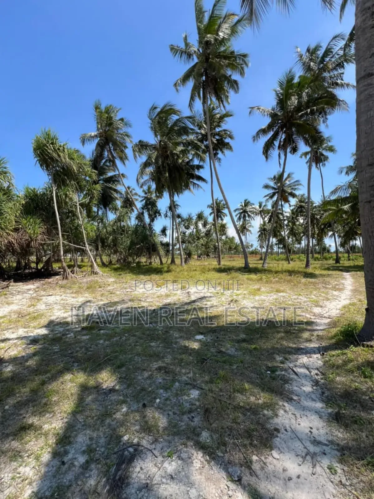 Whitesand Beach Plot for Sale in Pongwe, Zanzibar in Unguja North
