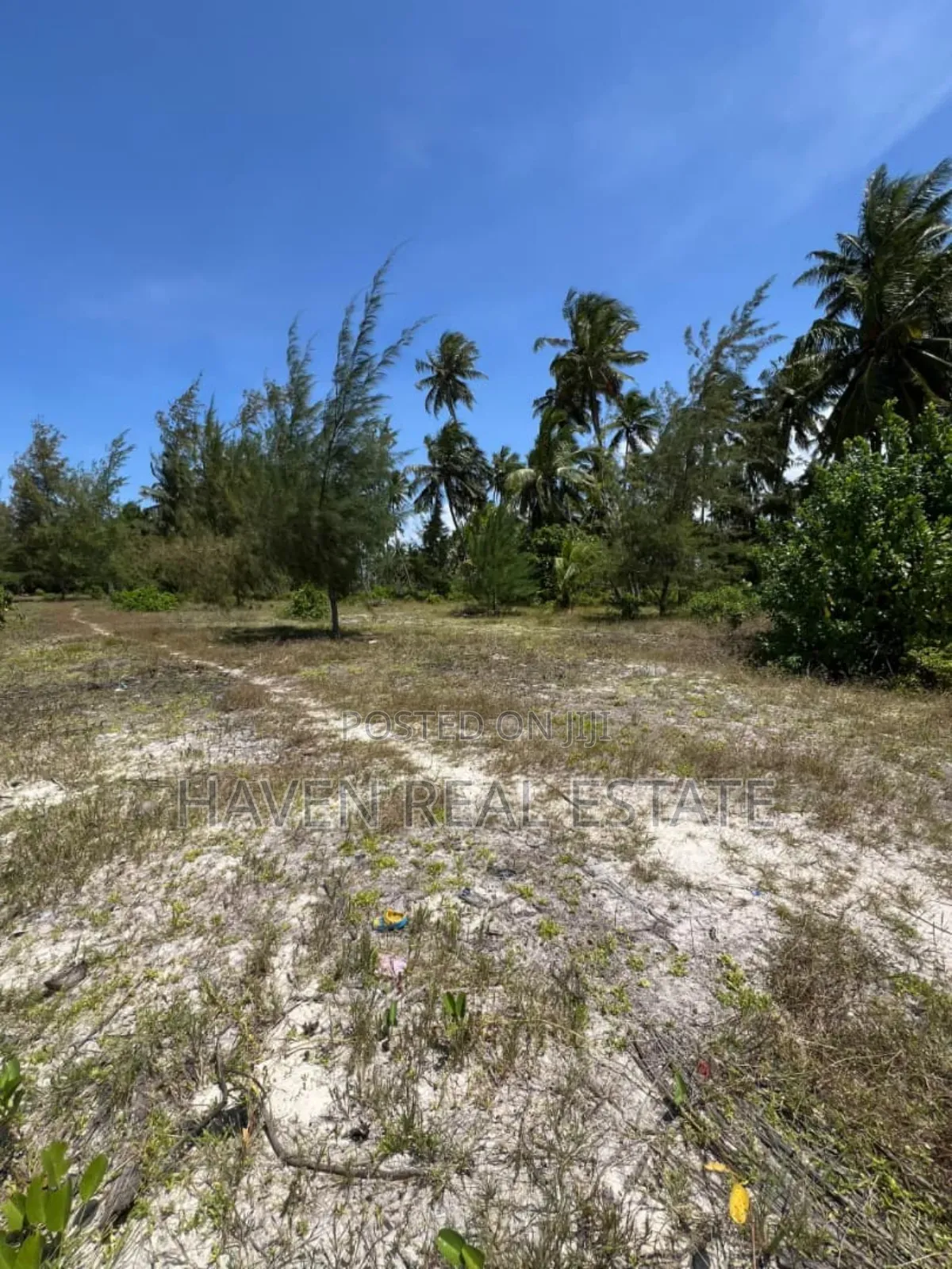 Whitesand Beach Plot for Sale in Pongwe, Zanzibar in Unguja North
