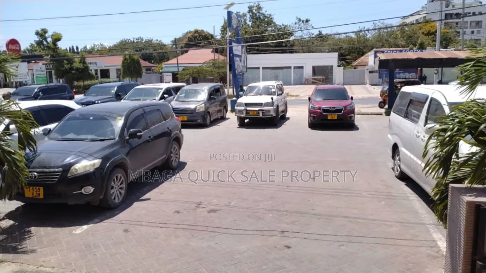 Office Space Area SQM 186 for Rent Usd 15 Per SQM at Oyster Bay in Oyster Bay