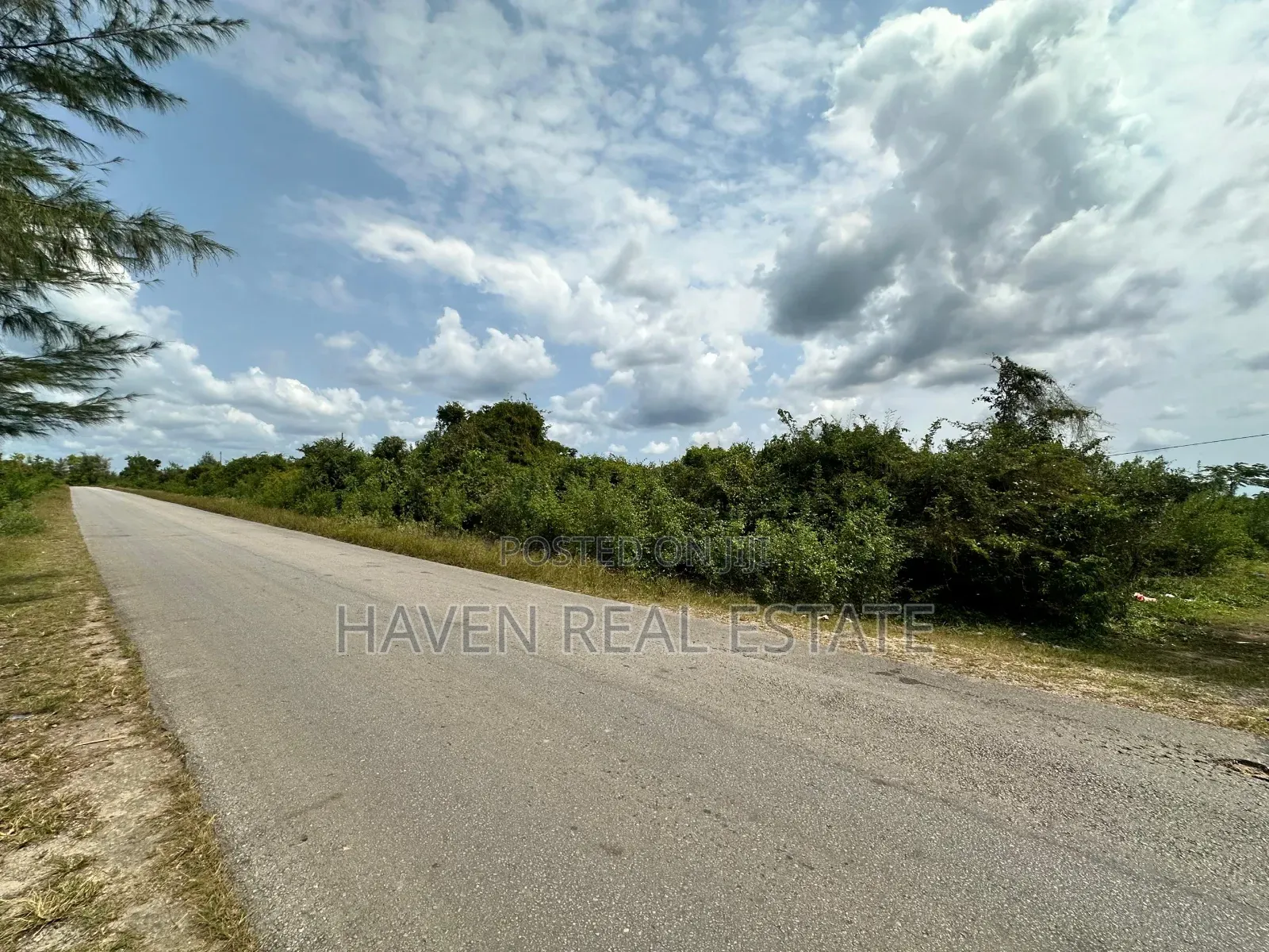A Potential Road Side for Sale at Uroa Zanzibar in Unguja South