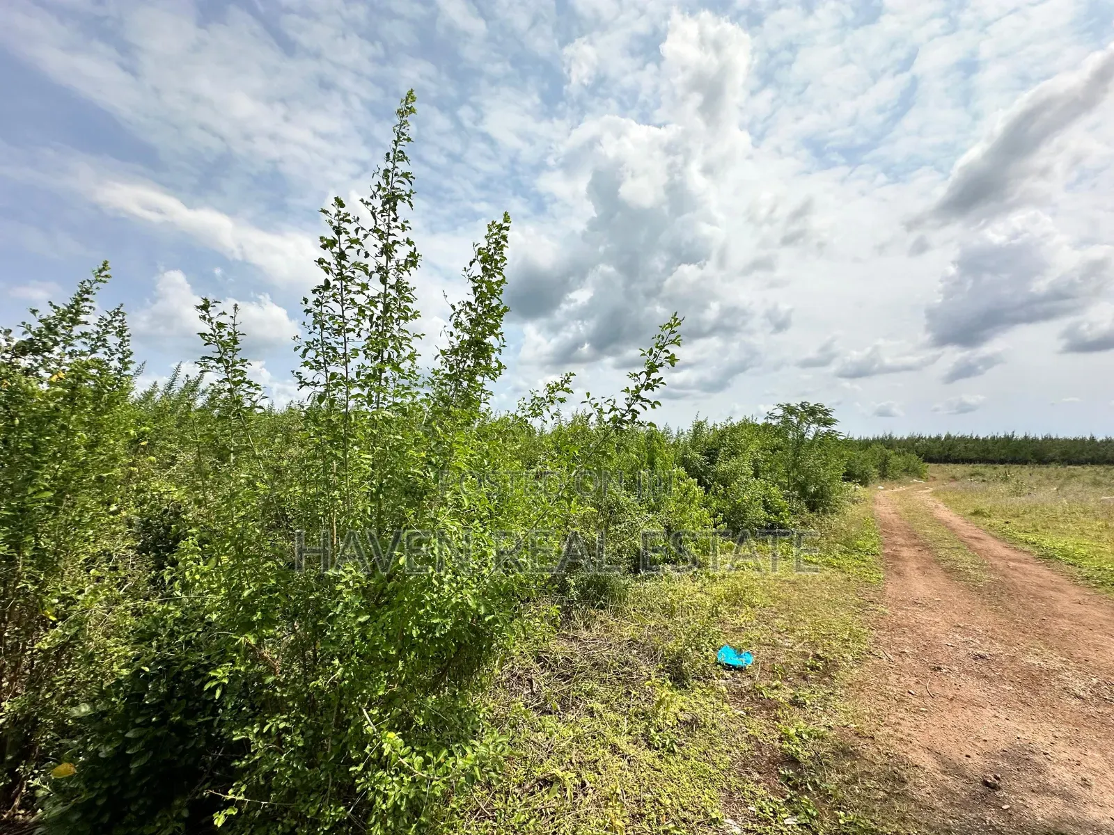 A Potential Road Side for Sale at Uroa Zanzibar in Unguja South