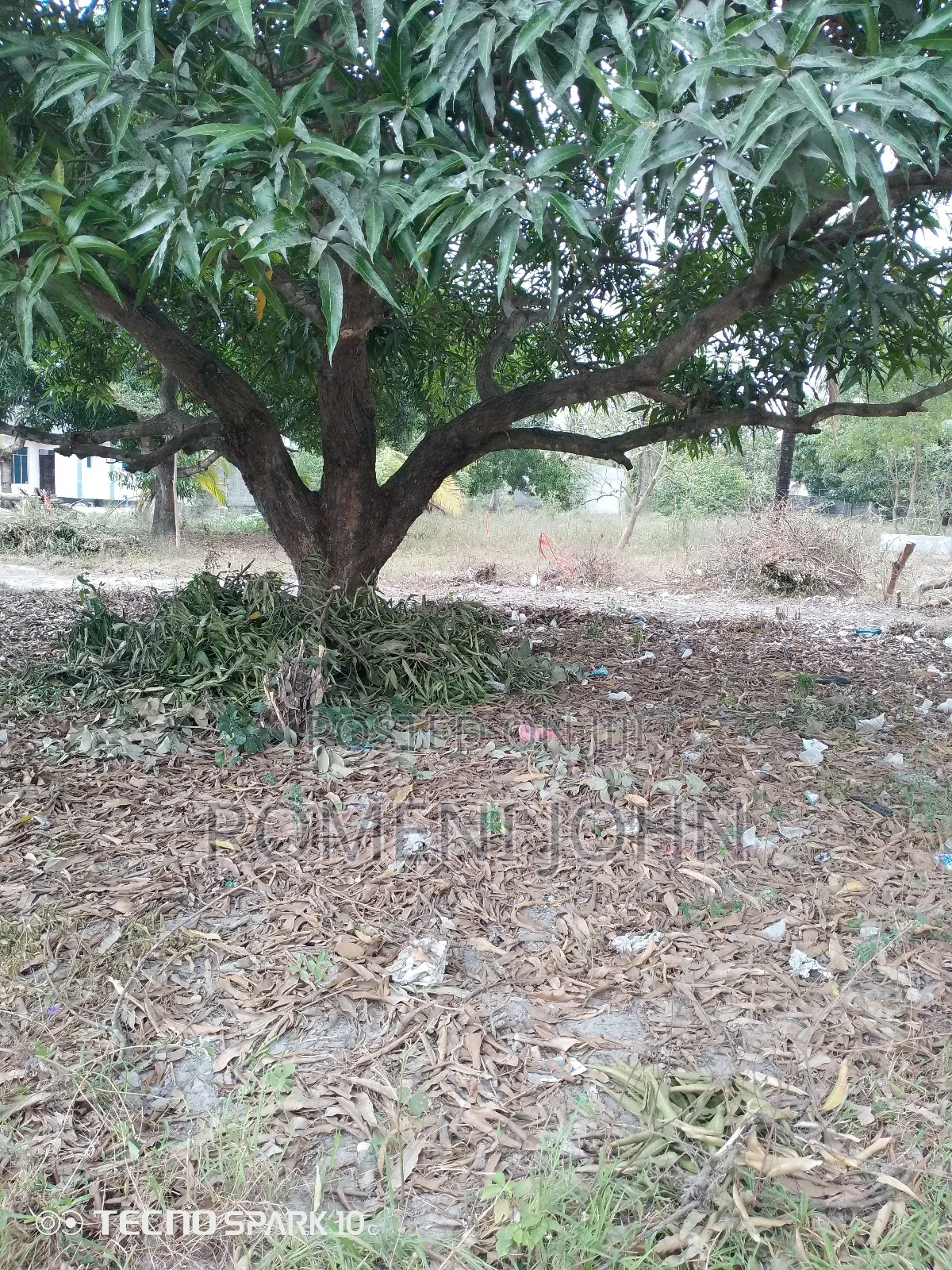 Kiwanja Sqmita 150 Kinauzwa Milioni 4.5 Majohe Rada. in Ilala