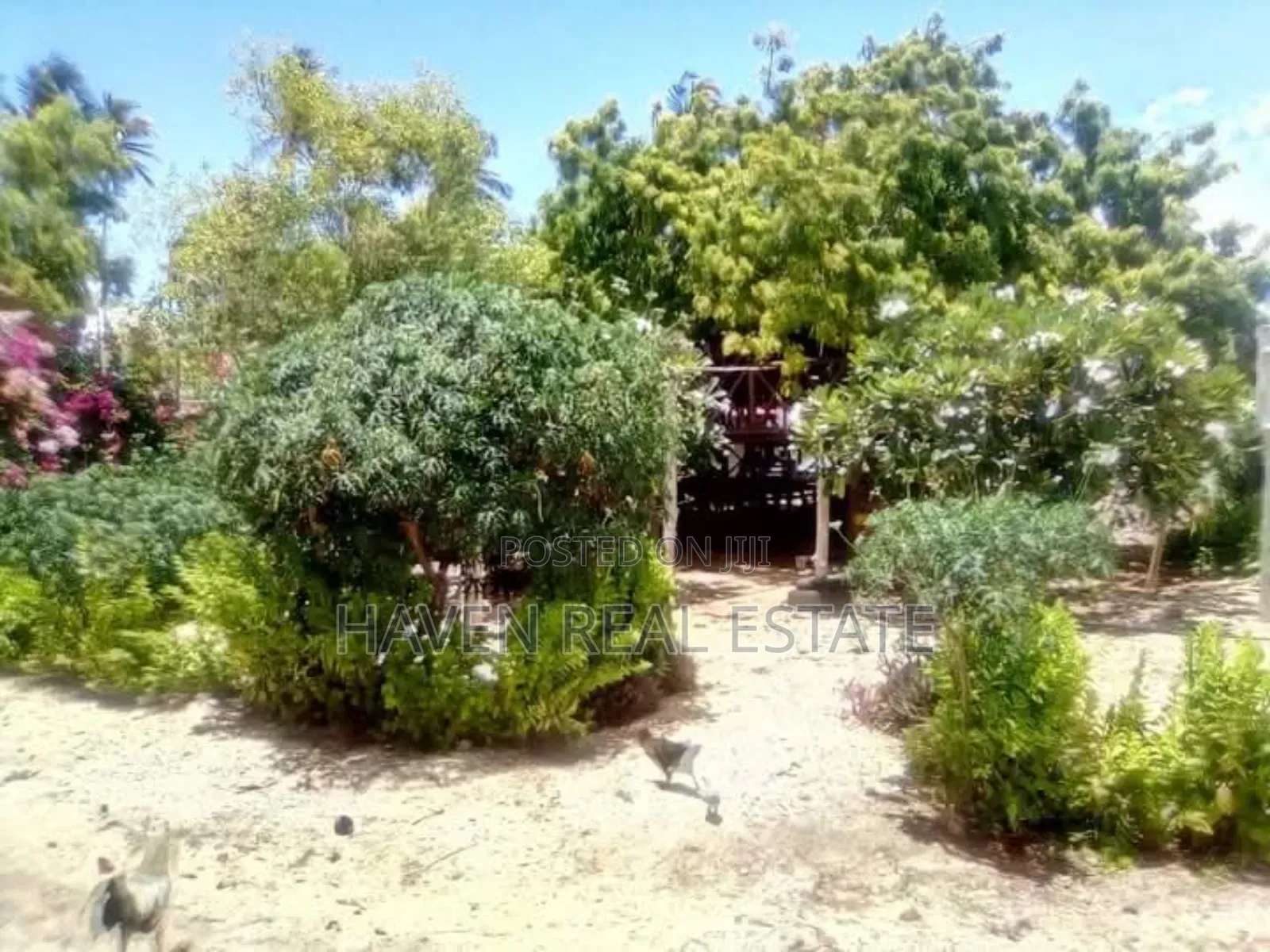 Beach Bungalow for Sale at Zanzibar in Unguja North