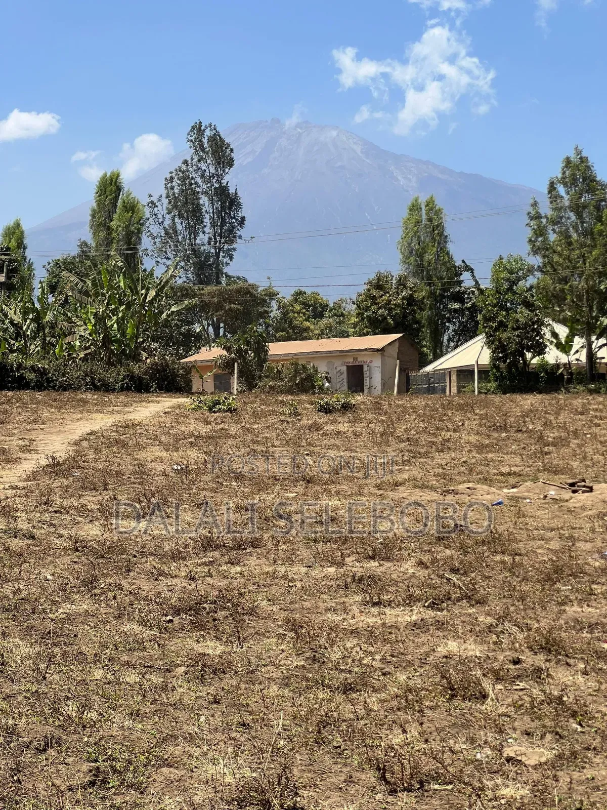 Hector 3 at Sakina Arusha in Arusha