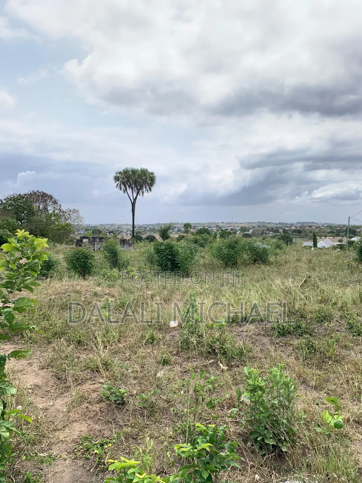 Plot for Sale Bunju Beach Moga in Bunju