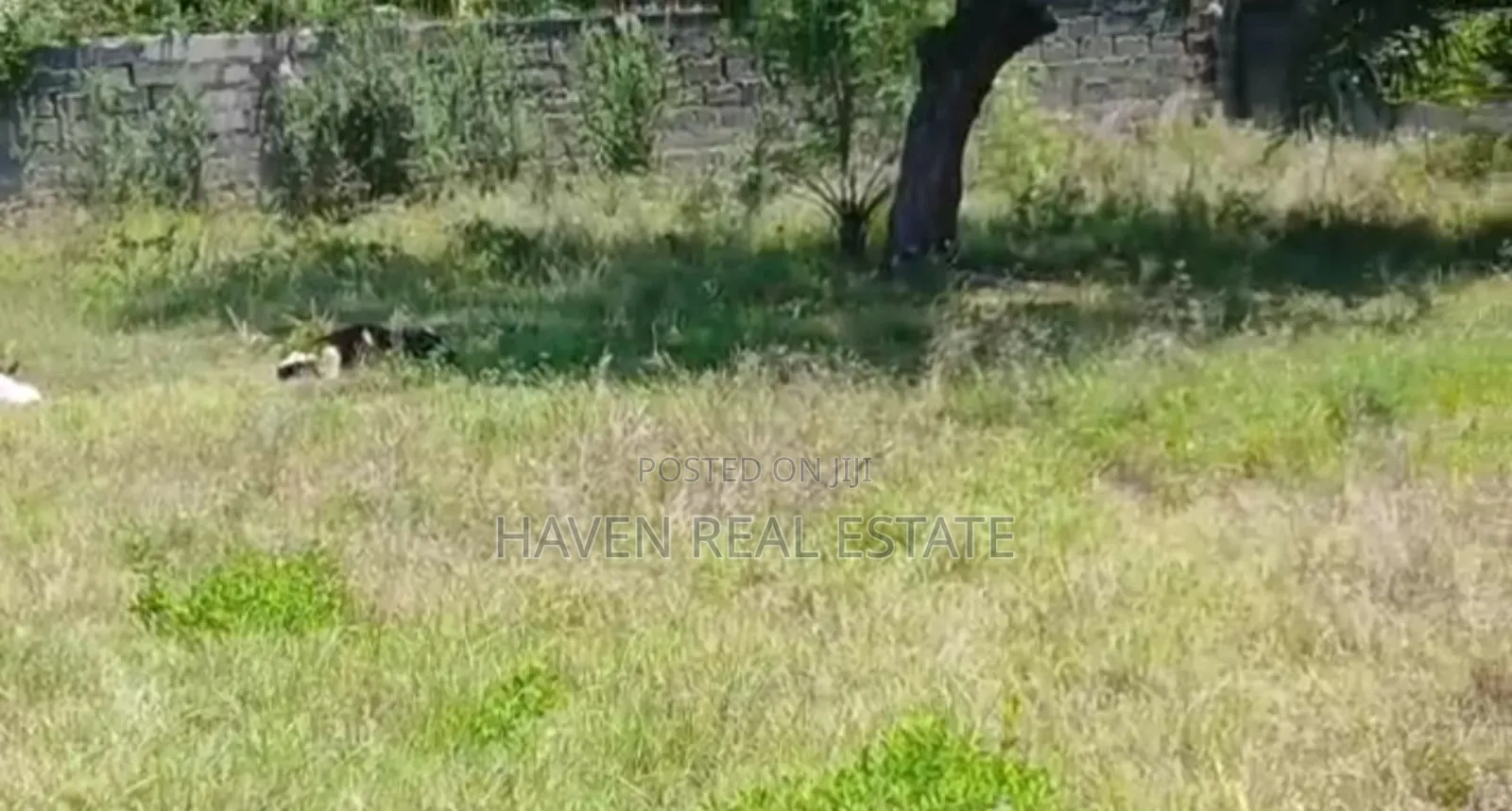 Fenced Plot for Sale at Kunduchi Beach in Kunduchi
