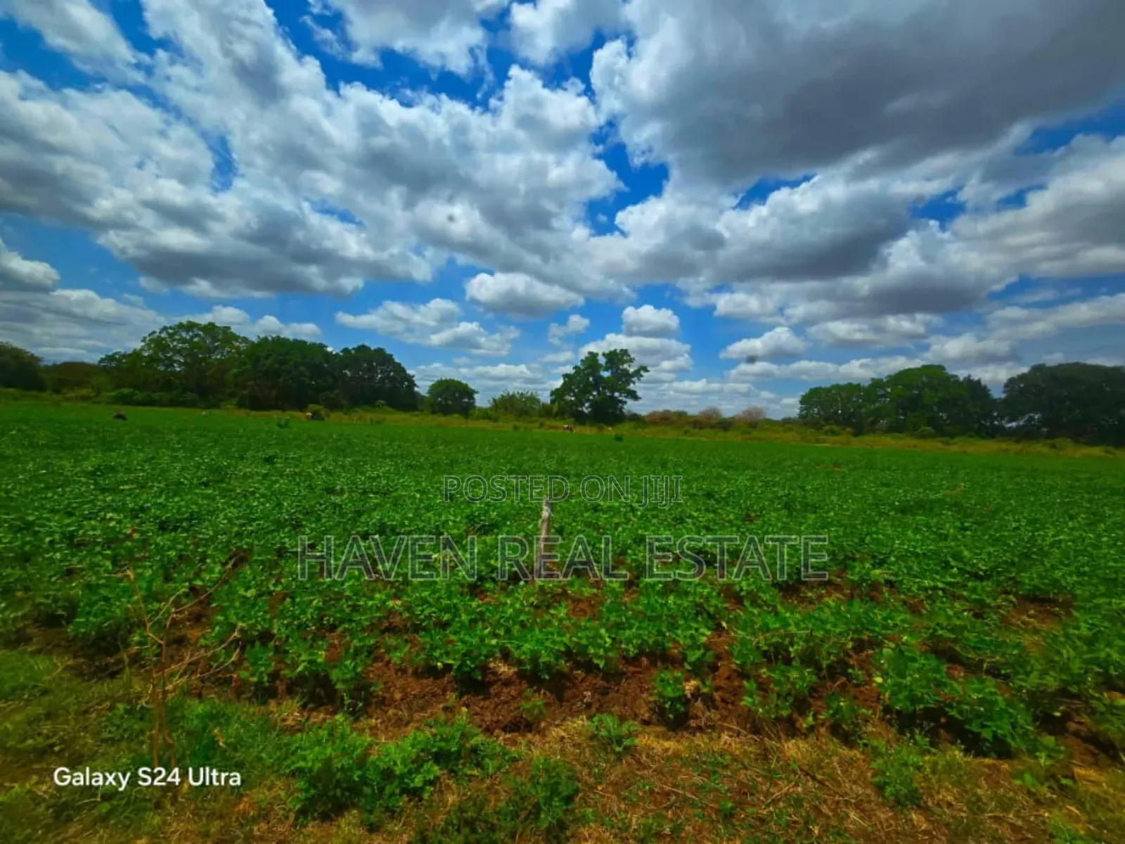 1137 Acres Farm Land for Sale at Arusha in Arusha
