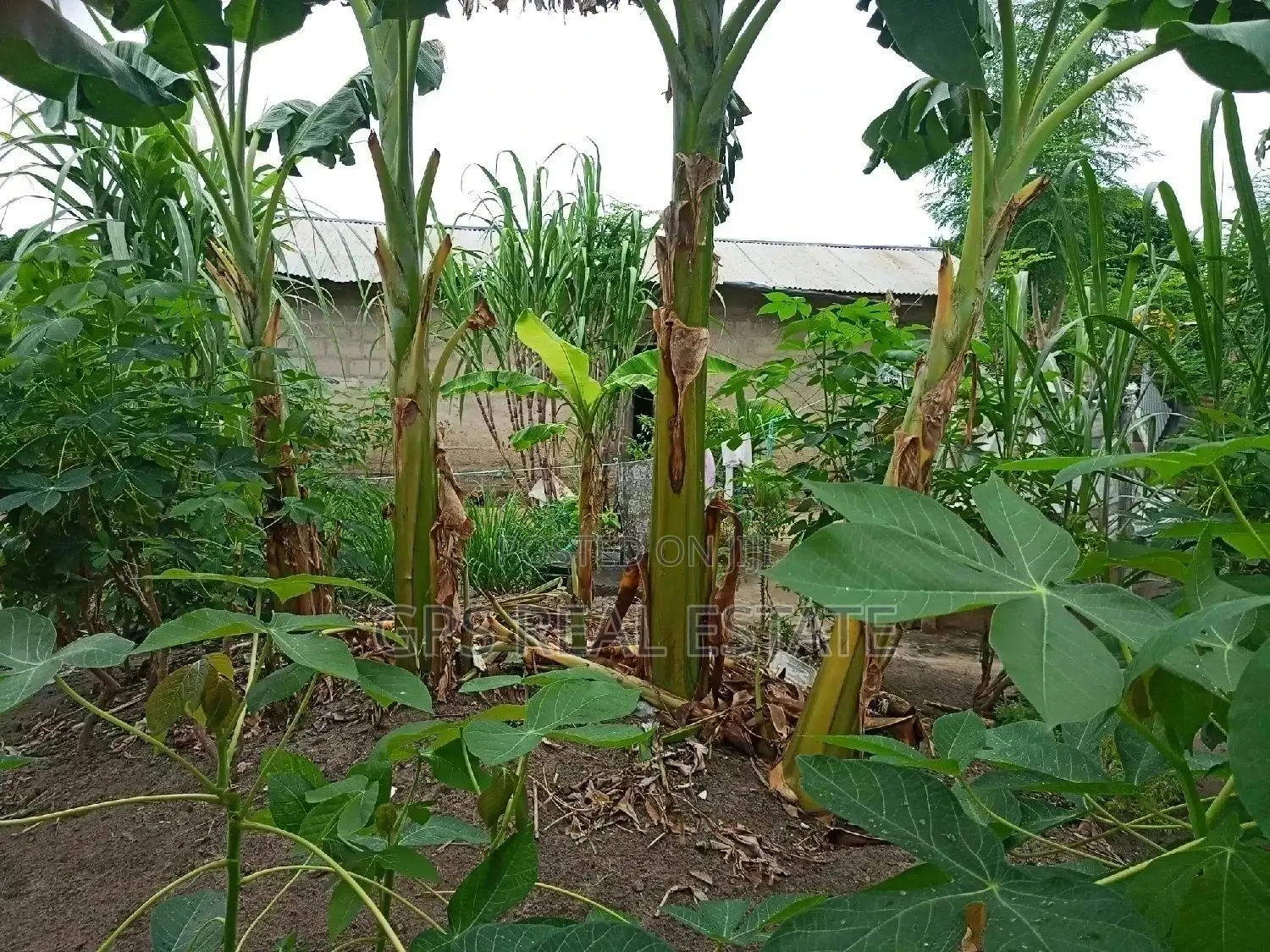 %$# House for Sale in Kigamboni