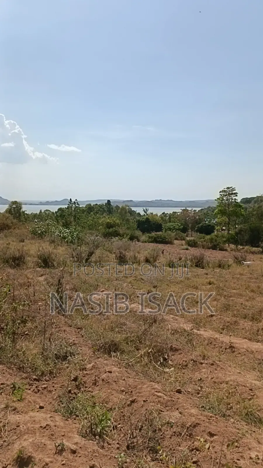 Plot for Sale Square Meter3400 in Nyamagana