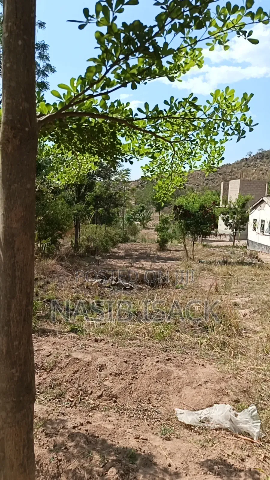 Plot for Sale Square Meter3400 in Nyamagana
