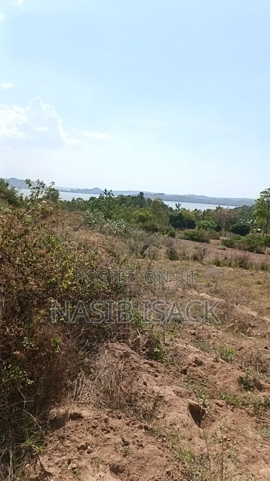 Plot for Sale Square Meter3400 in Nyamagana