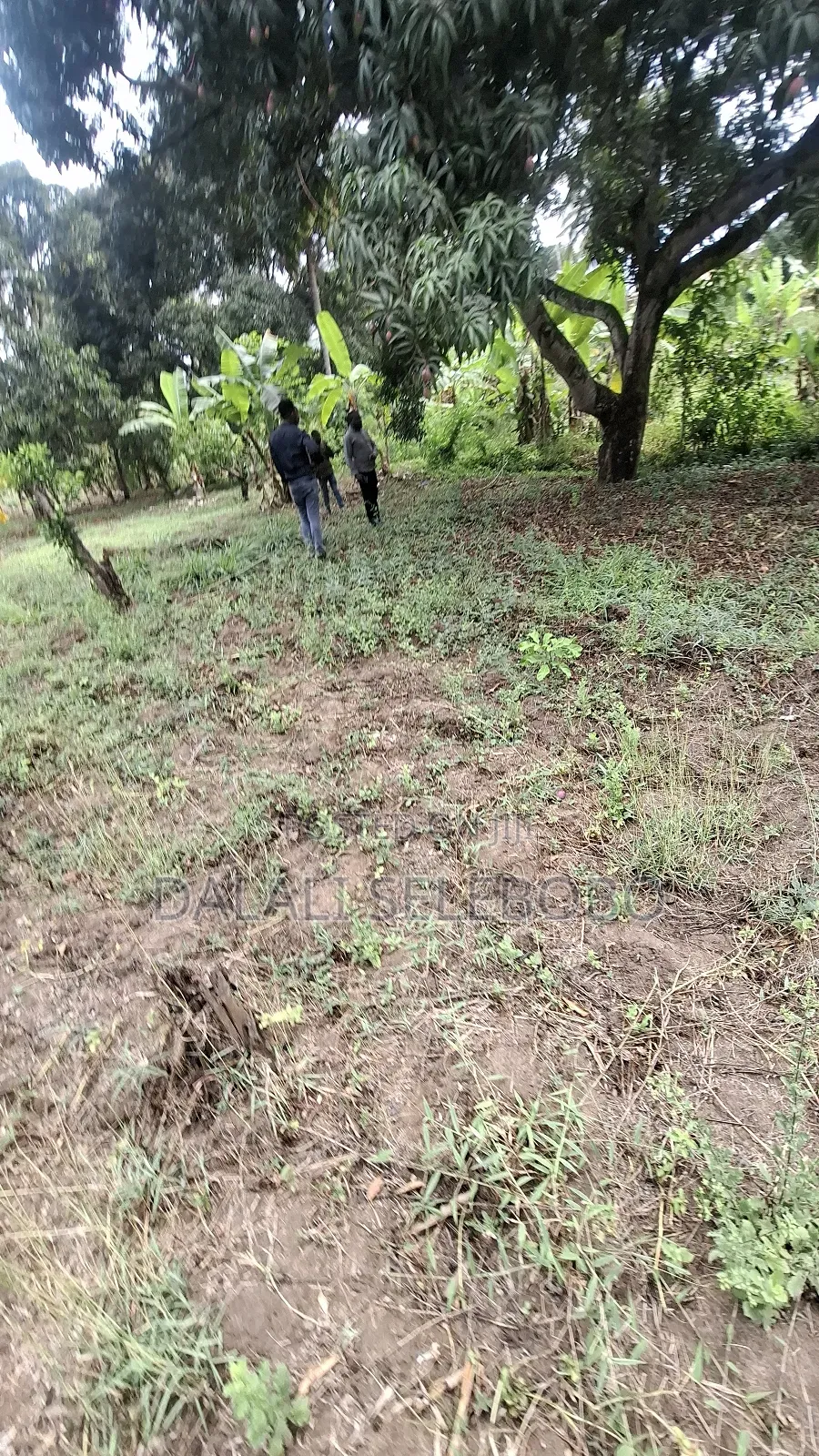 Plot Sale at Kibamba Shule Big Space in Kibamba