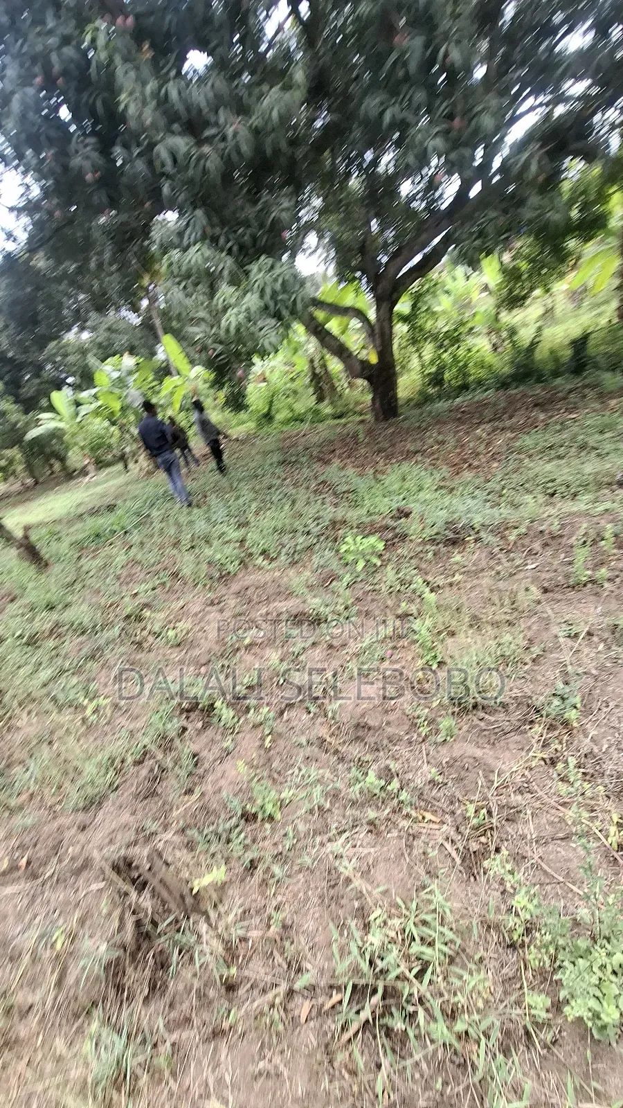 Plot Sale at Kibamba Shule Big Space in Kibamba