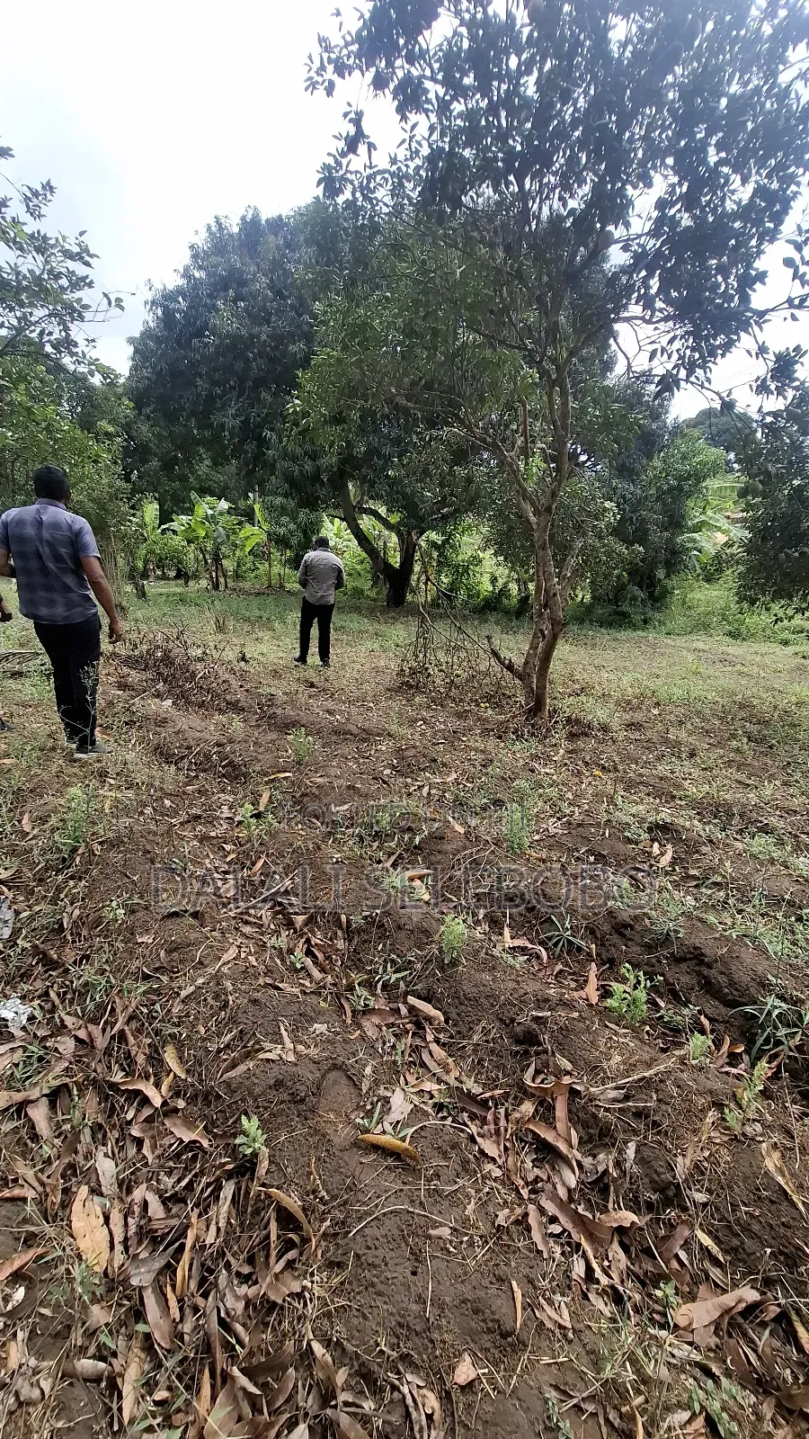 Plot Sale at Kibamba Shule Big Space in Kibamba