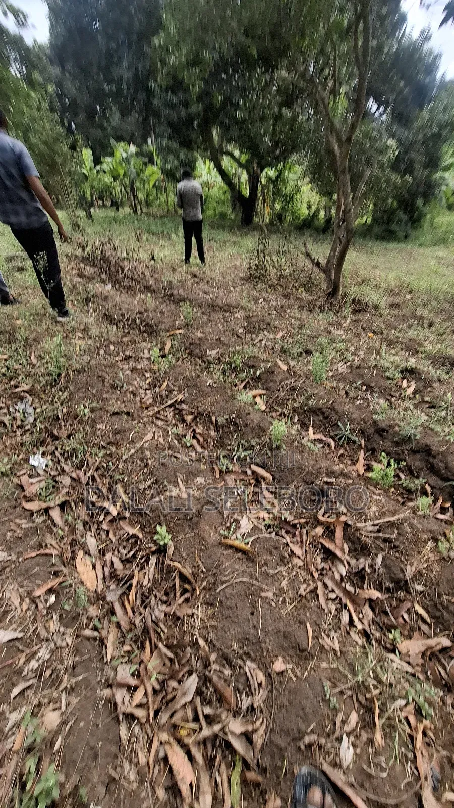 Plot Sale at Kibamba Shule Big Space in Kibamba