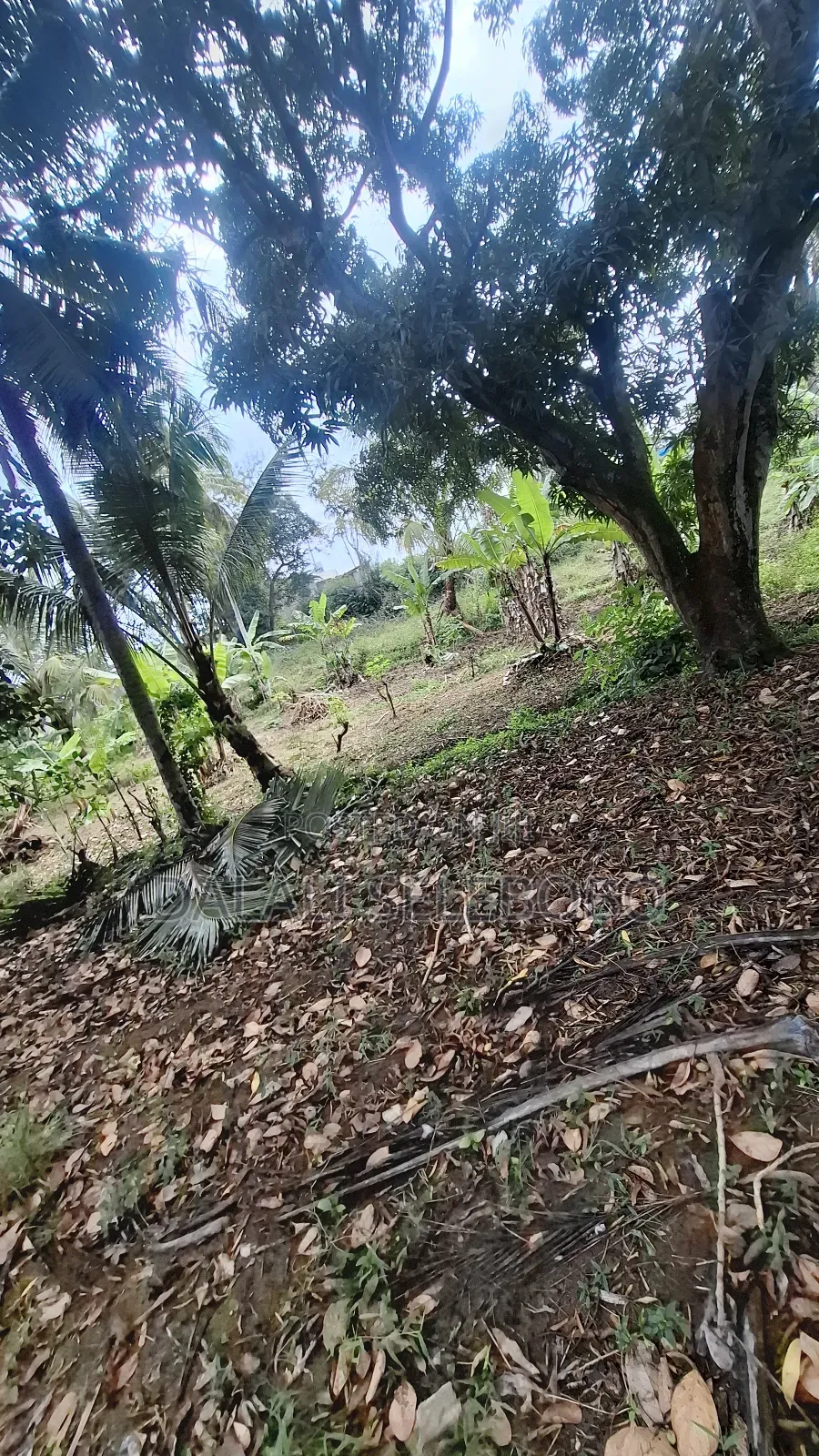 Plot Sale at Kibamba Shule Big Space in Kibamba