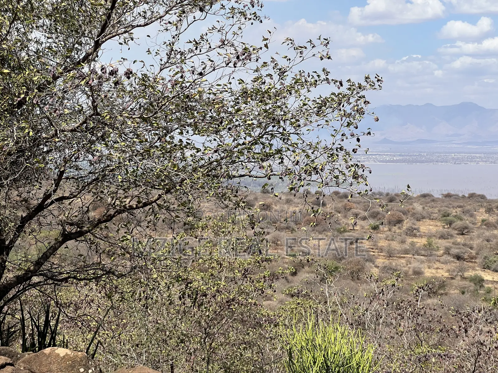 For Sale: Prime 8-Acres Plot With Breathtaking Lake Manyara Views in Karatu Ward
