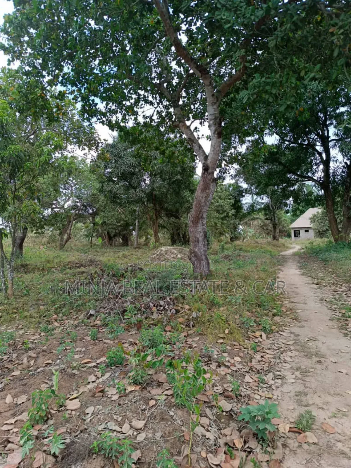 Very Cheap 40 Acres Plot for Sale Mkuranga Mwanambaya Kwa Mwinyi in Mburahati