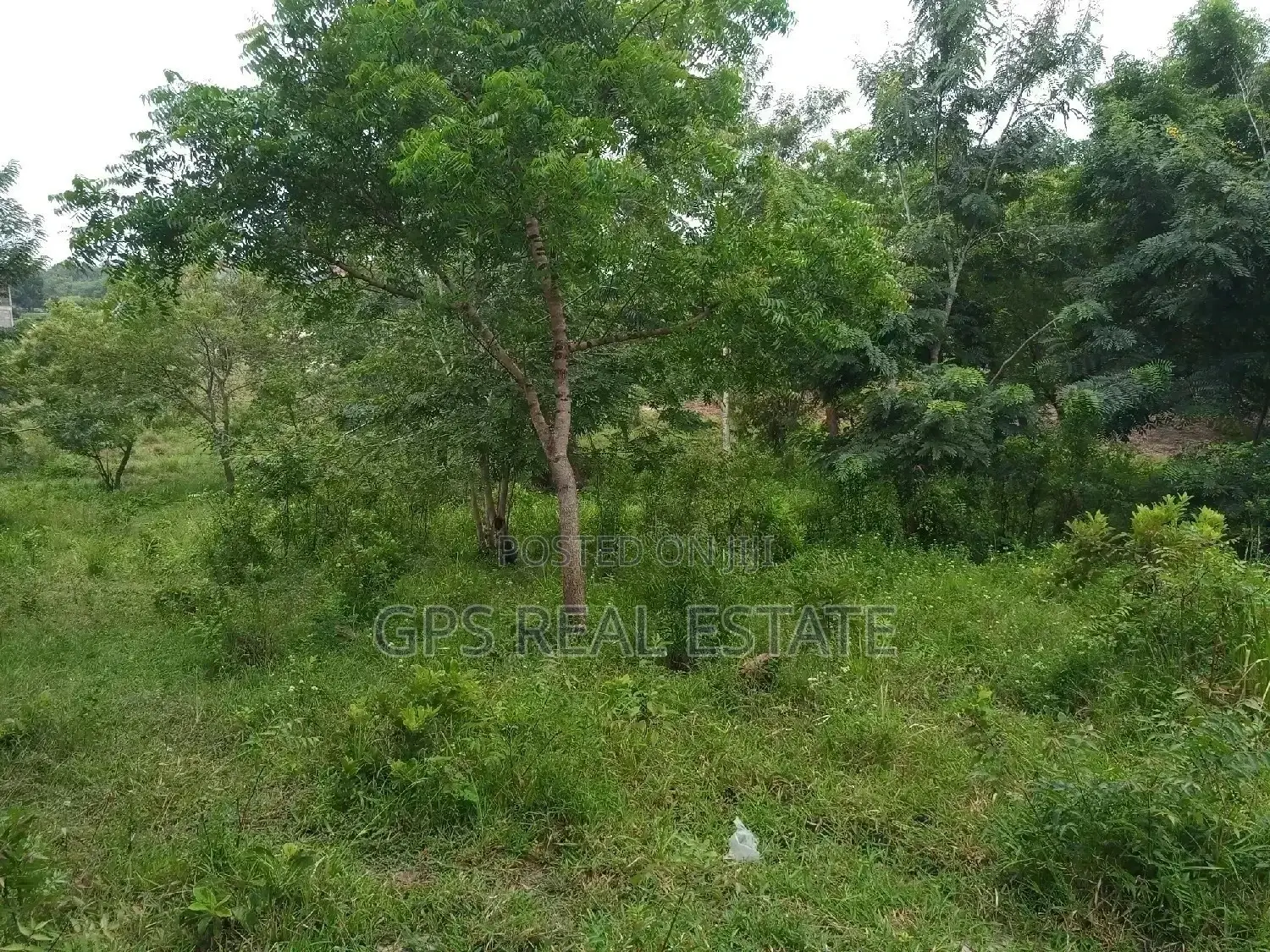 Kiwanja Kiwanja Kinauzwa in Kigamboni