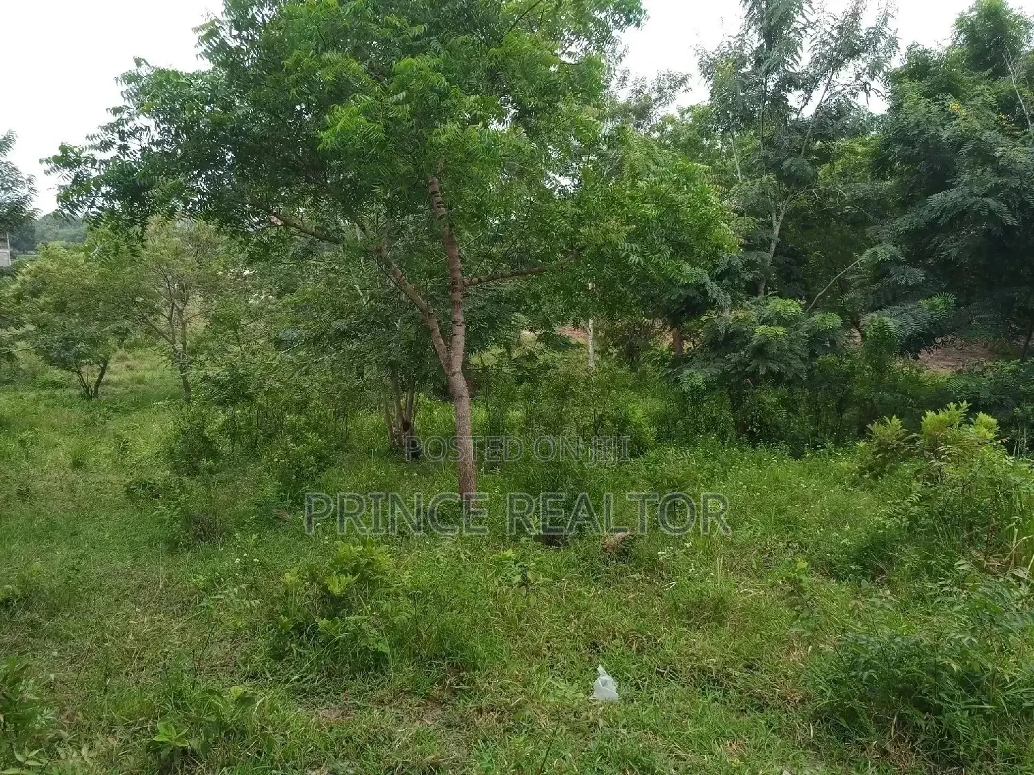 Kiwanja Kiwanja Kinauzwa in Kigamboni