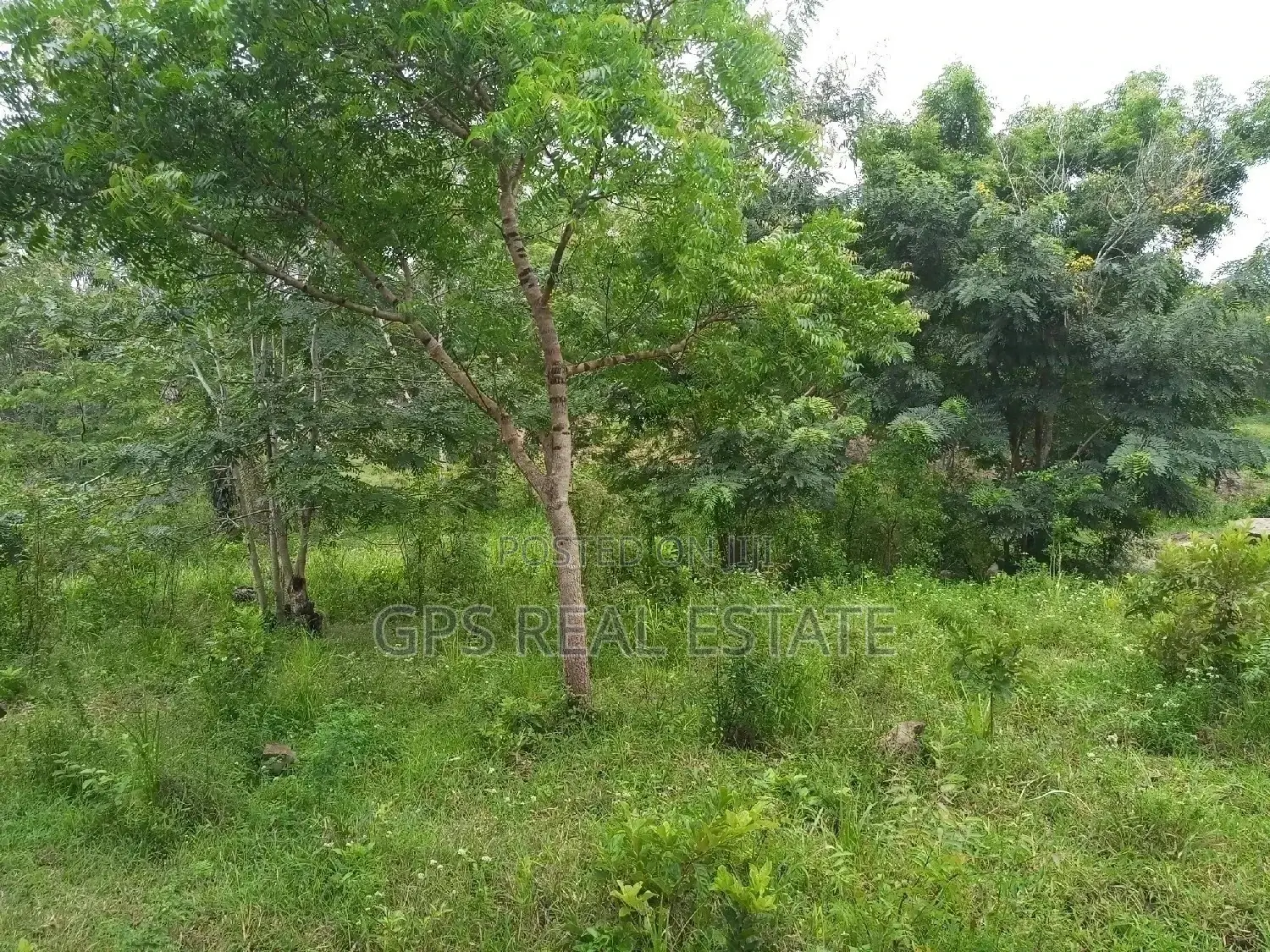 Kiwanja Kiwanja Kinauzwa in Kigamboni