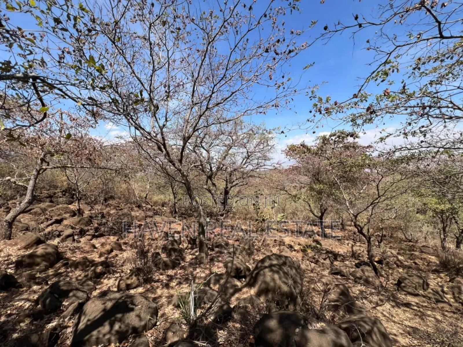 Eneo La 8 Acres Lenye View Ya Hifadhi Na Ziwa Manyara Linauzwa in Simanjiro