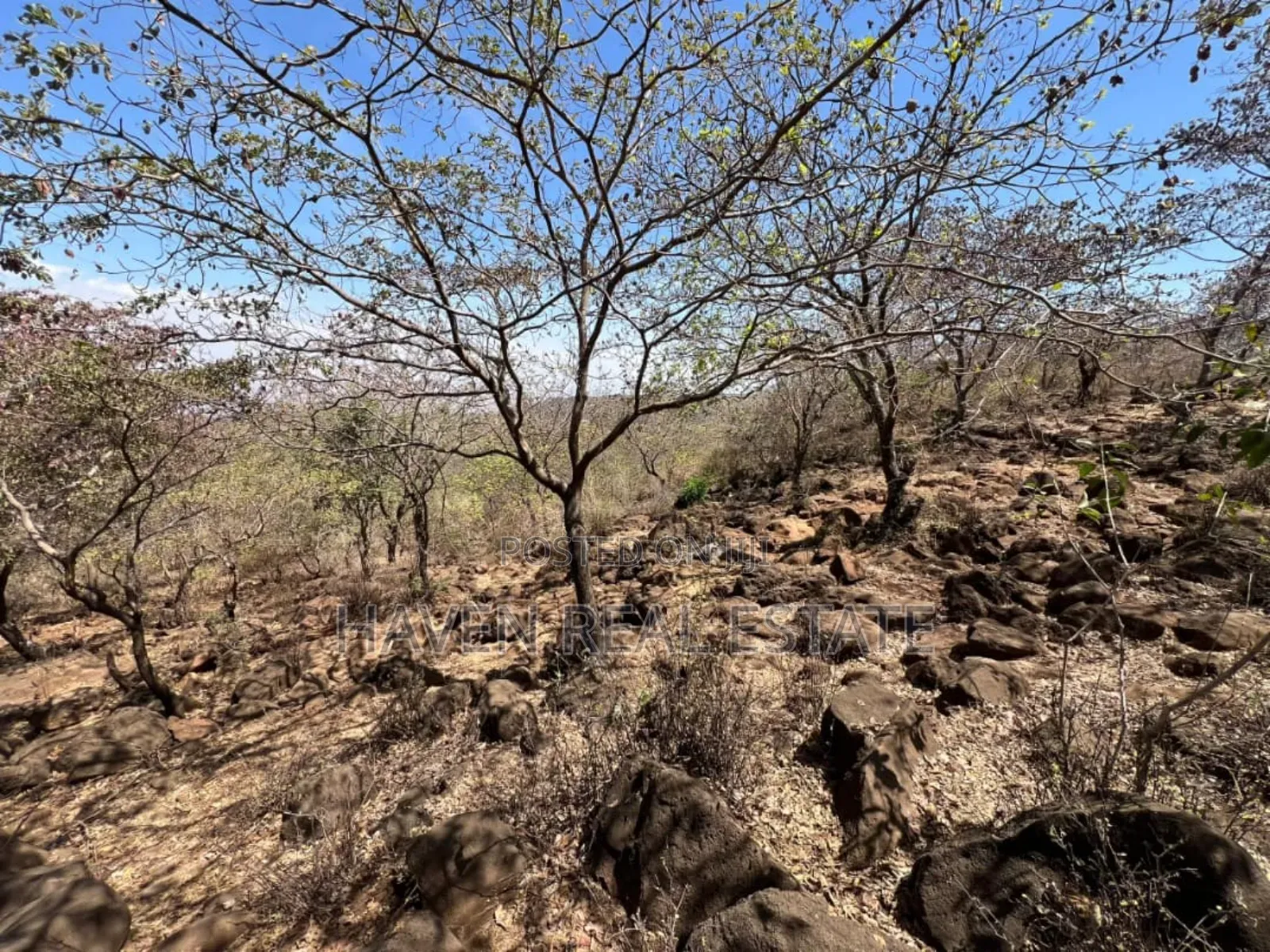 Eneo La 8 Acres Lenye View Ya Hifadhi Na Ziwa Manyara Linauzwa in Simanjiro