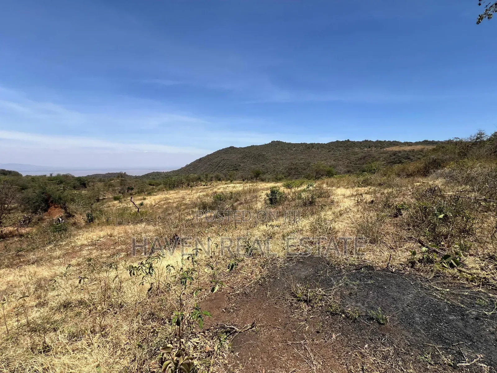 44 Acres Zina View Ya Ziwa Manyara Zinauzwa in Simanjiro
