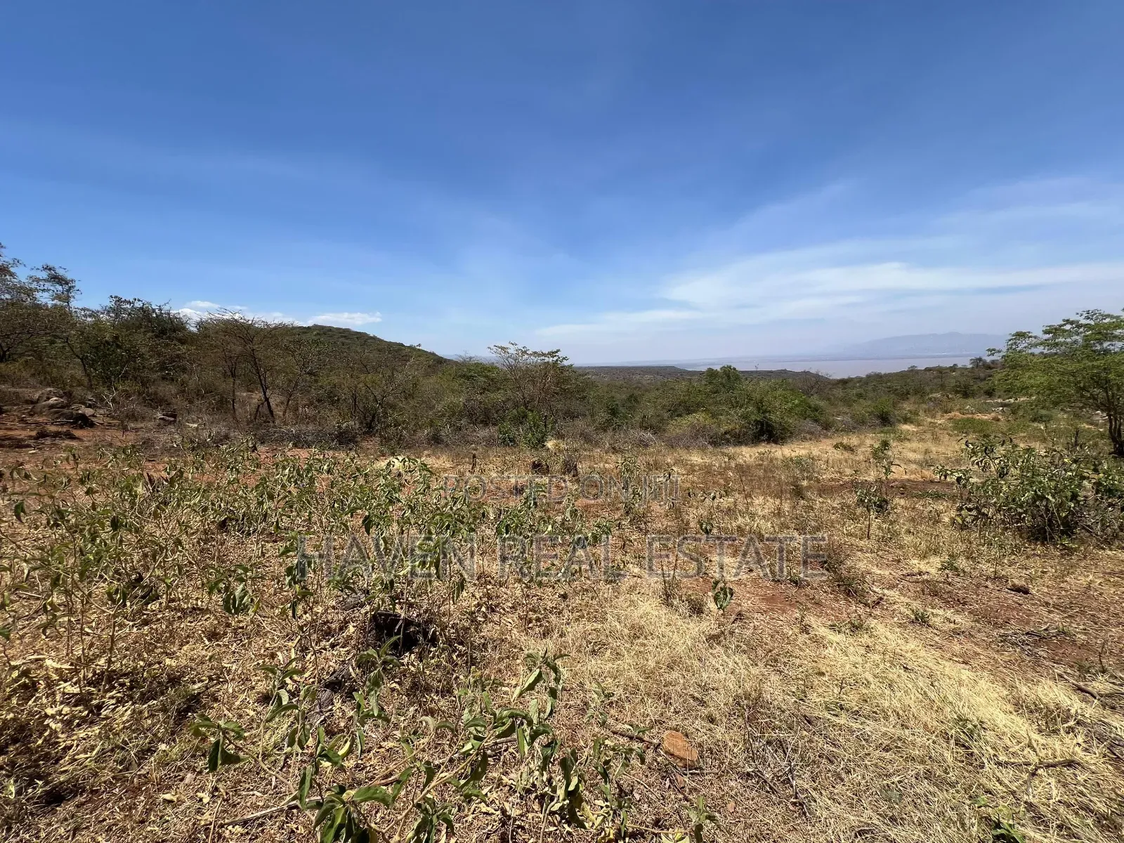 44 Acres Zina View Ya Ziwa Manyara Zinauzwa in Simanjiro
