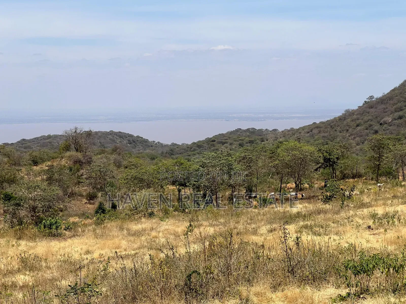 44 Acres Zina View Ya Ziwa Manyara Zinauzwa in Simanjiro
