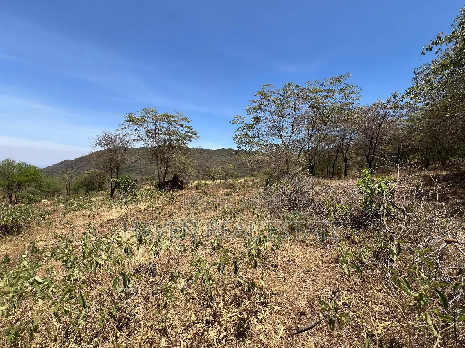 44 Acres Zina View Ya Ziwa Manyara Zinauzwa in Simanjiro