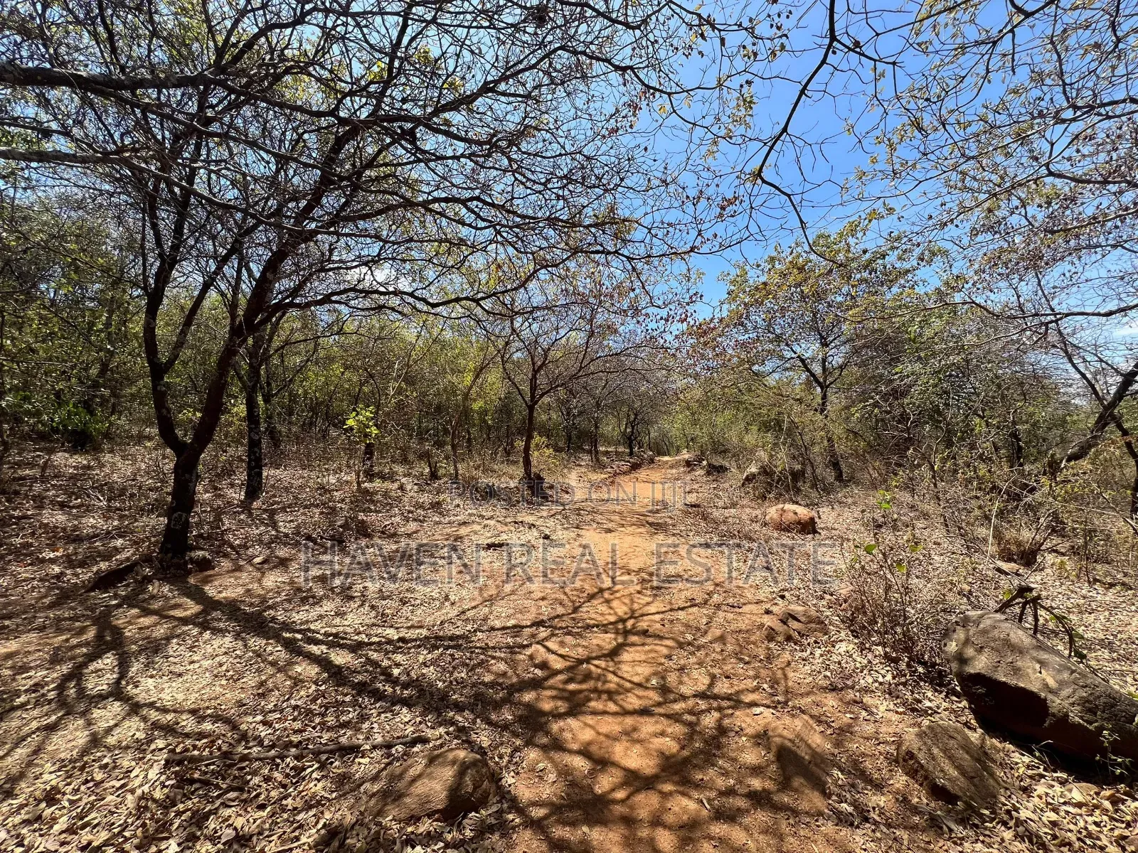44 Acres Zina View Ya Ziwa Manyara Zinauzwa in Simanjiro