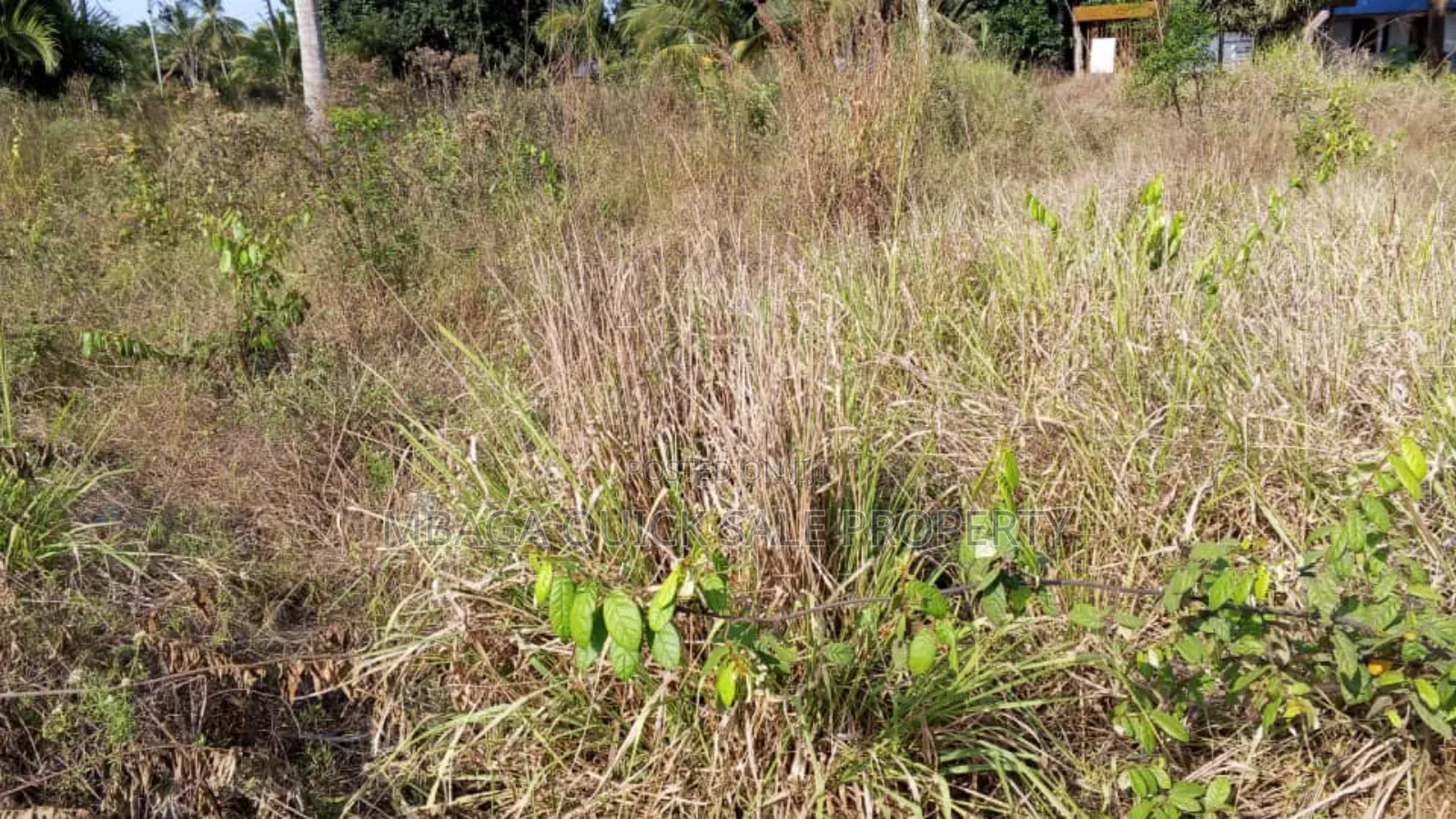 Plot for Sale at Mlandizi Msufini in Mlandizi