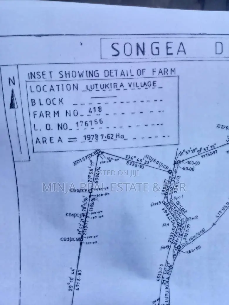 50,000 Acres Plot for Sale in the Songea in Mateka