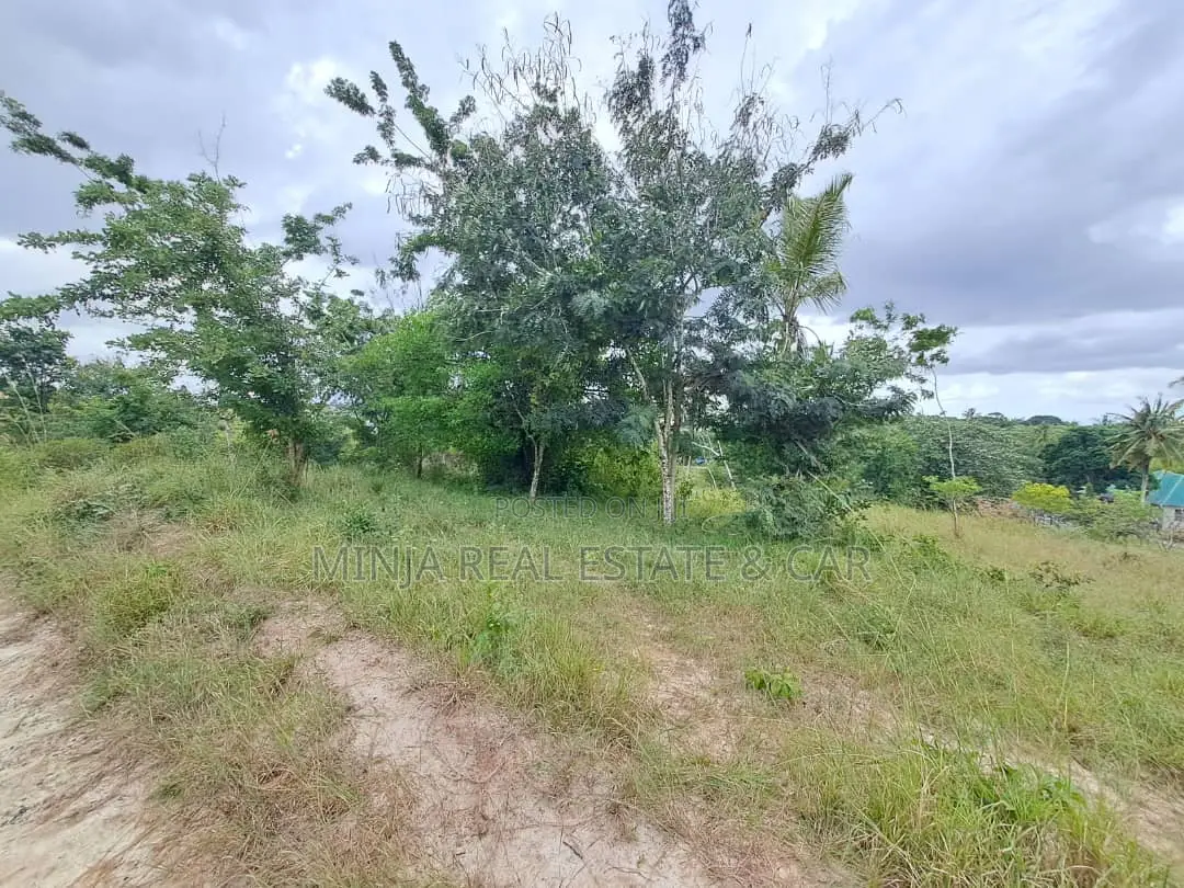 50,000 Acres Plot for Sale in the Songea in Mateka