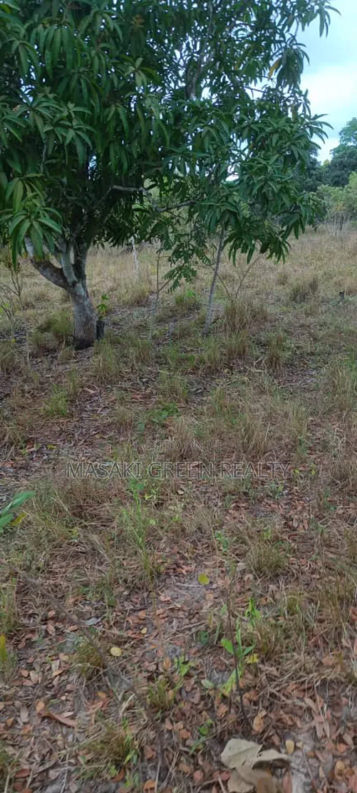 Plot for Sale at Kibaha in Kibaha