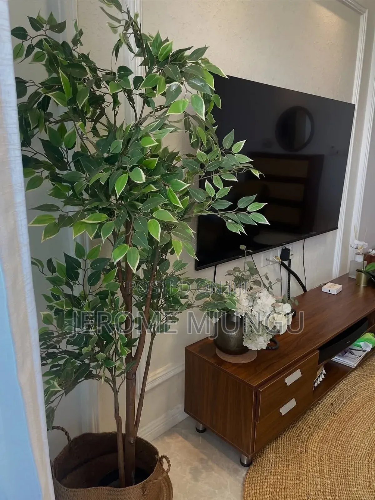 Furnished 1bdrm Apartment in Mikocheni for rent in Mikocheni