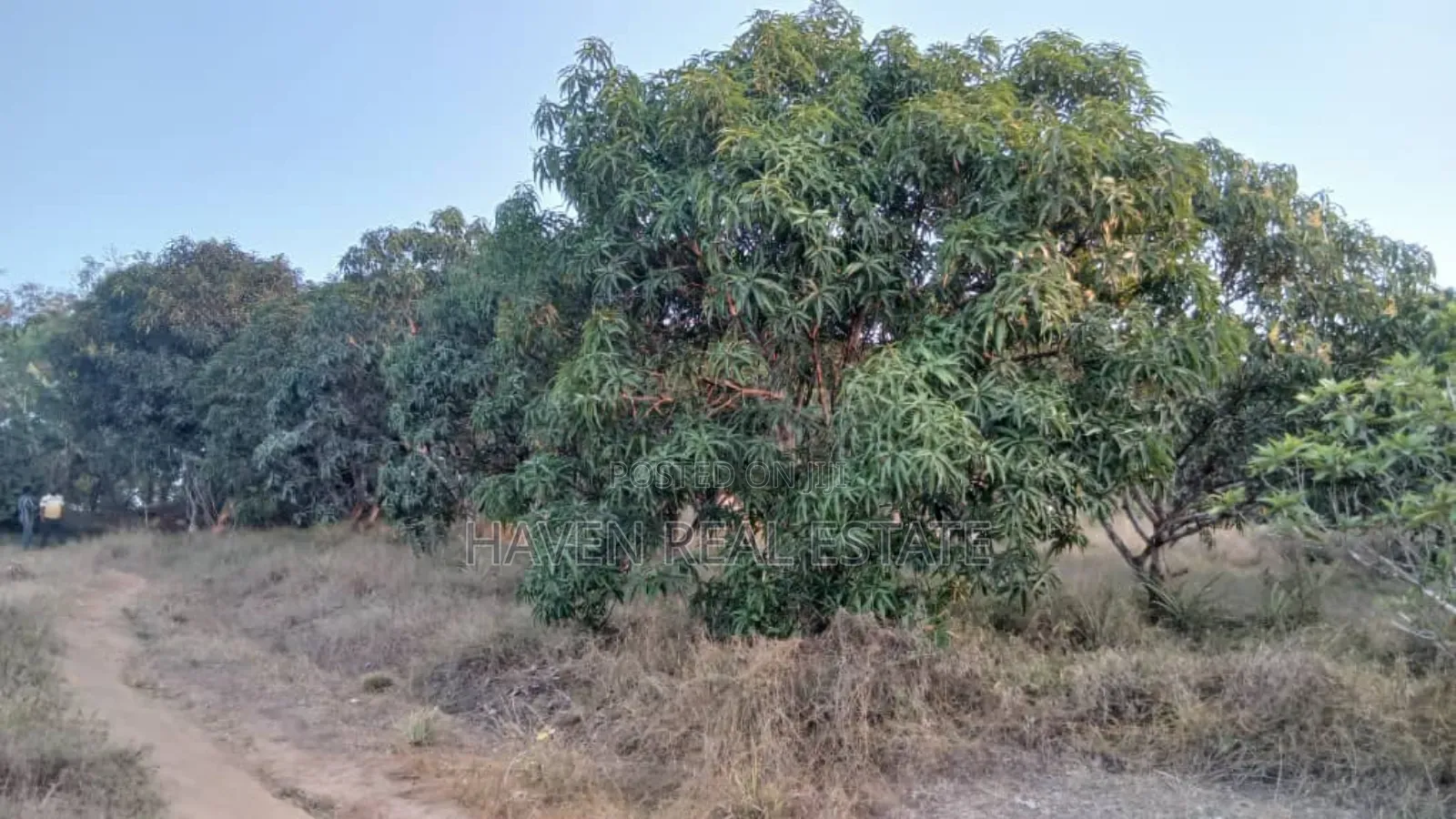 1acre Na Miembe Linauzwa Kongowe in Mbagala