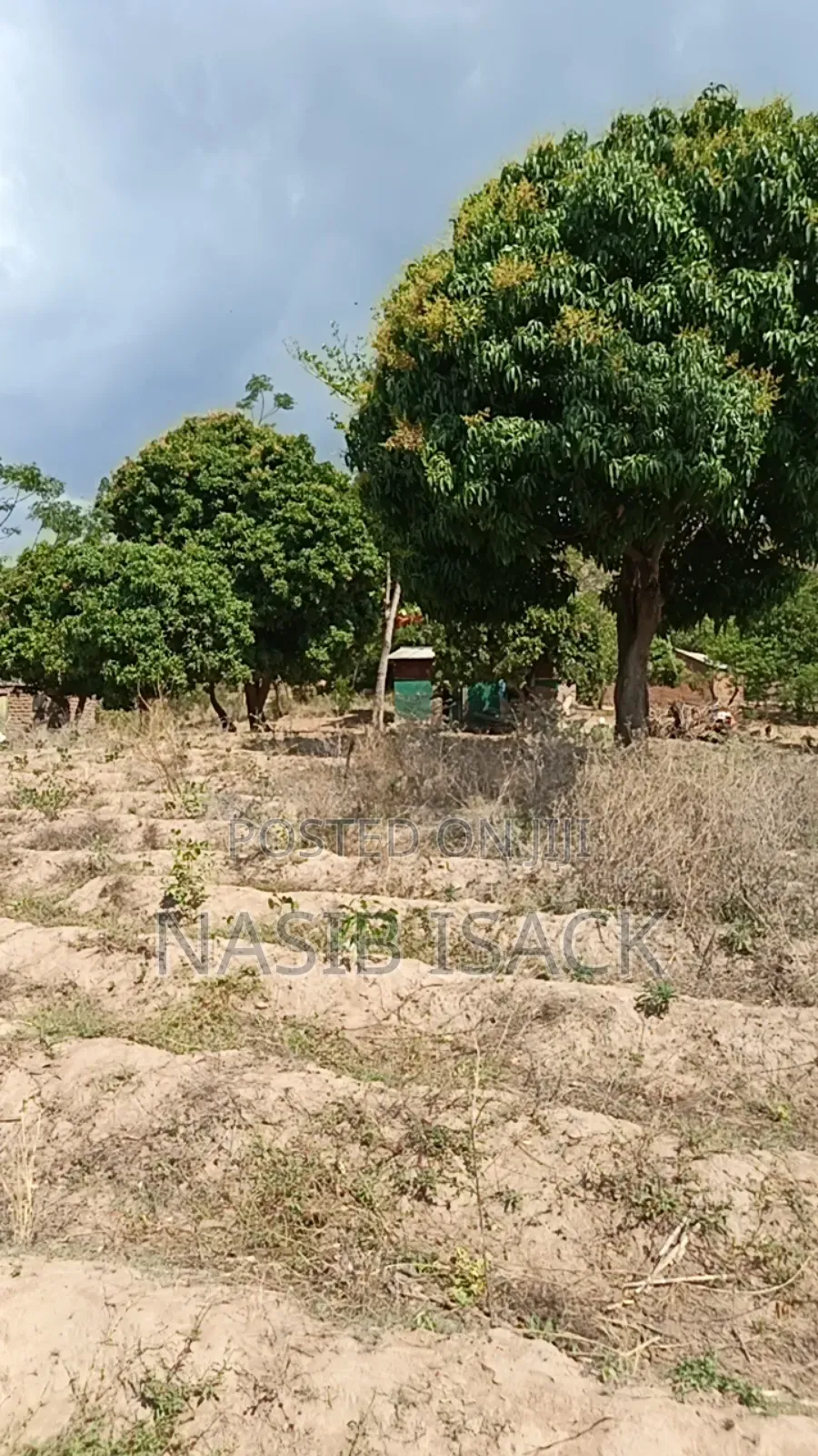 Plote for Sale in Nyamagana