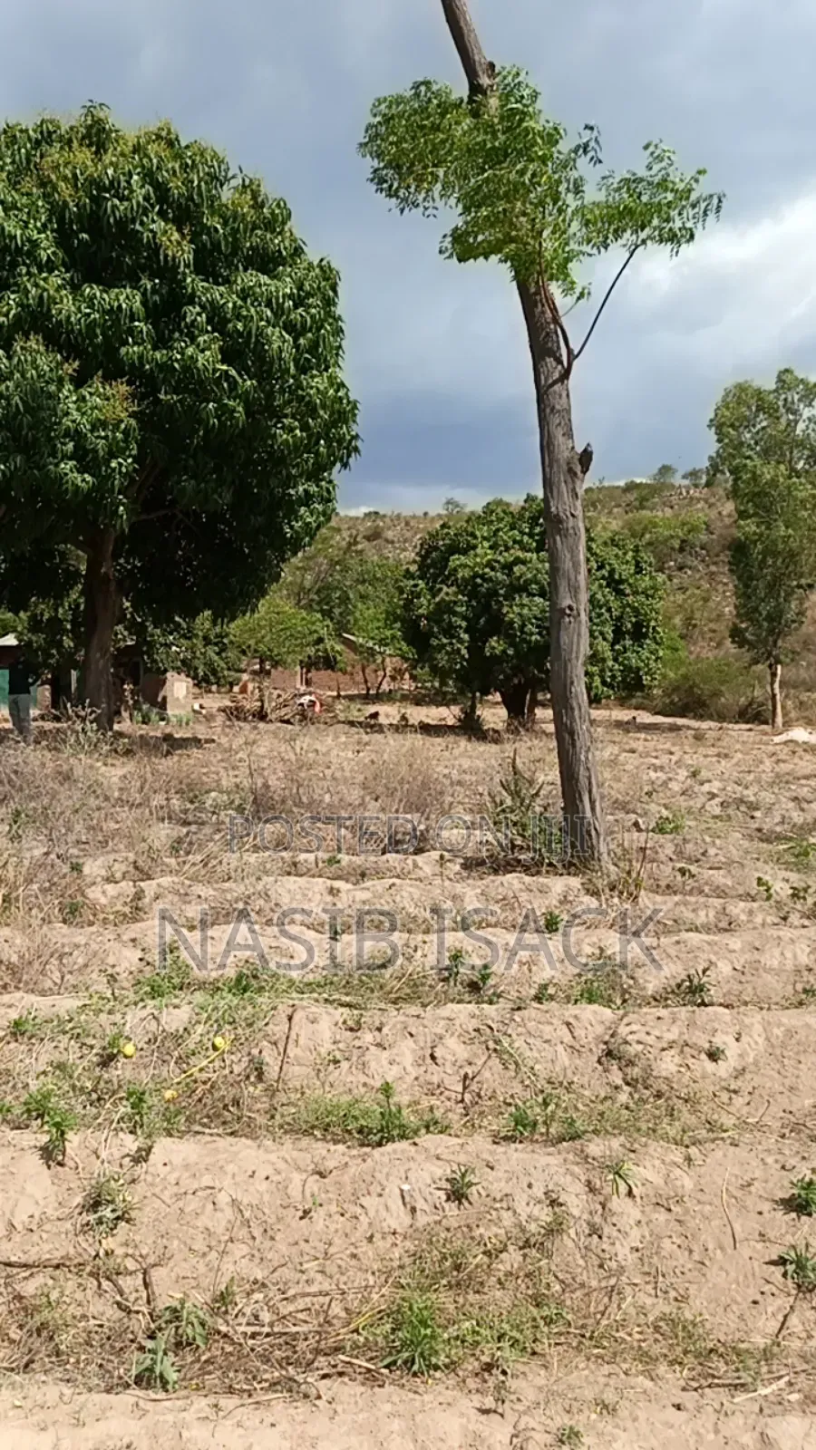 Plote for Sale in Nyamagana