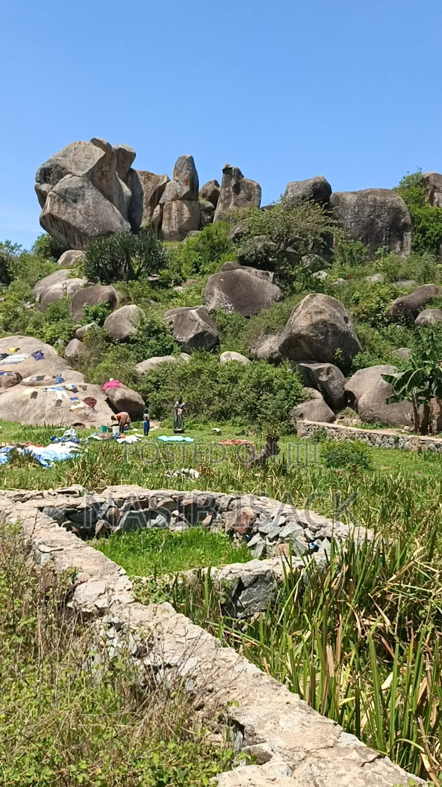 Plot for Sale 5000 Square Meter in Nyamagana