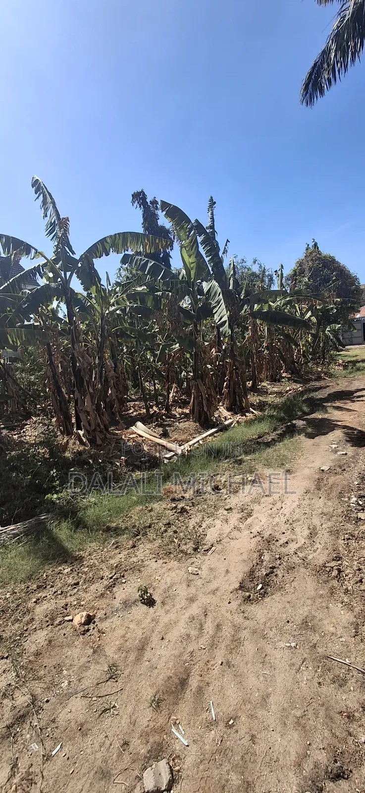 Plot for Sale 1400 SQMS in Mbezi Beach