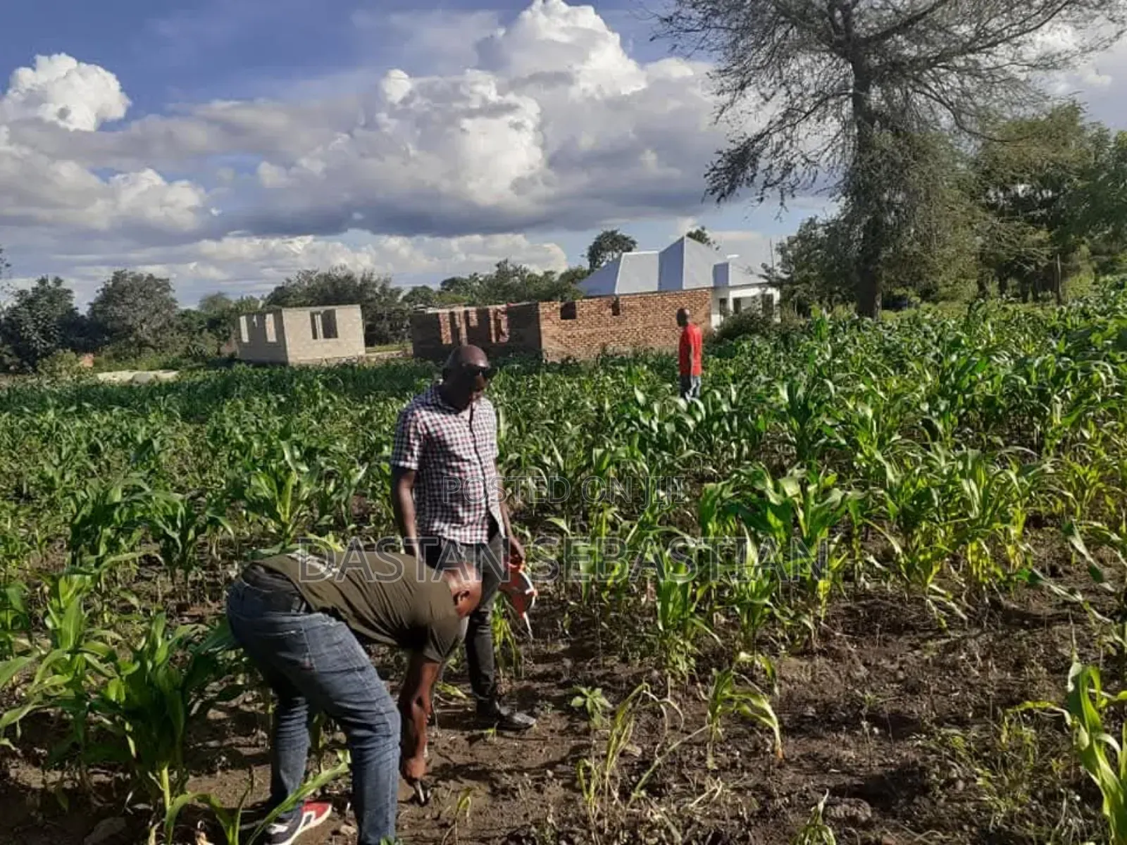Maji Ya Chai Njia Ya Ng'ombe Na Maroroni in Arusha
