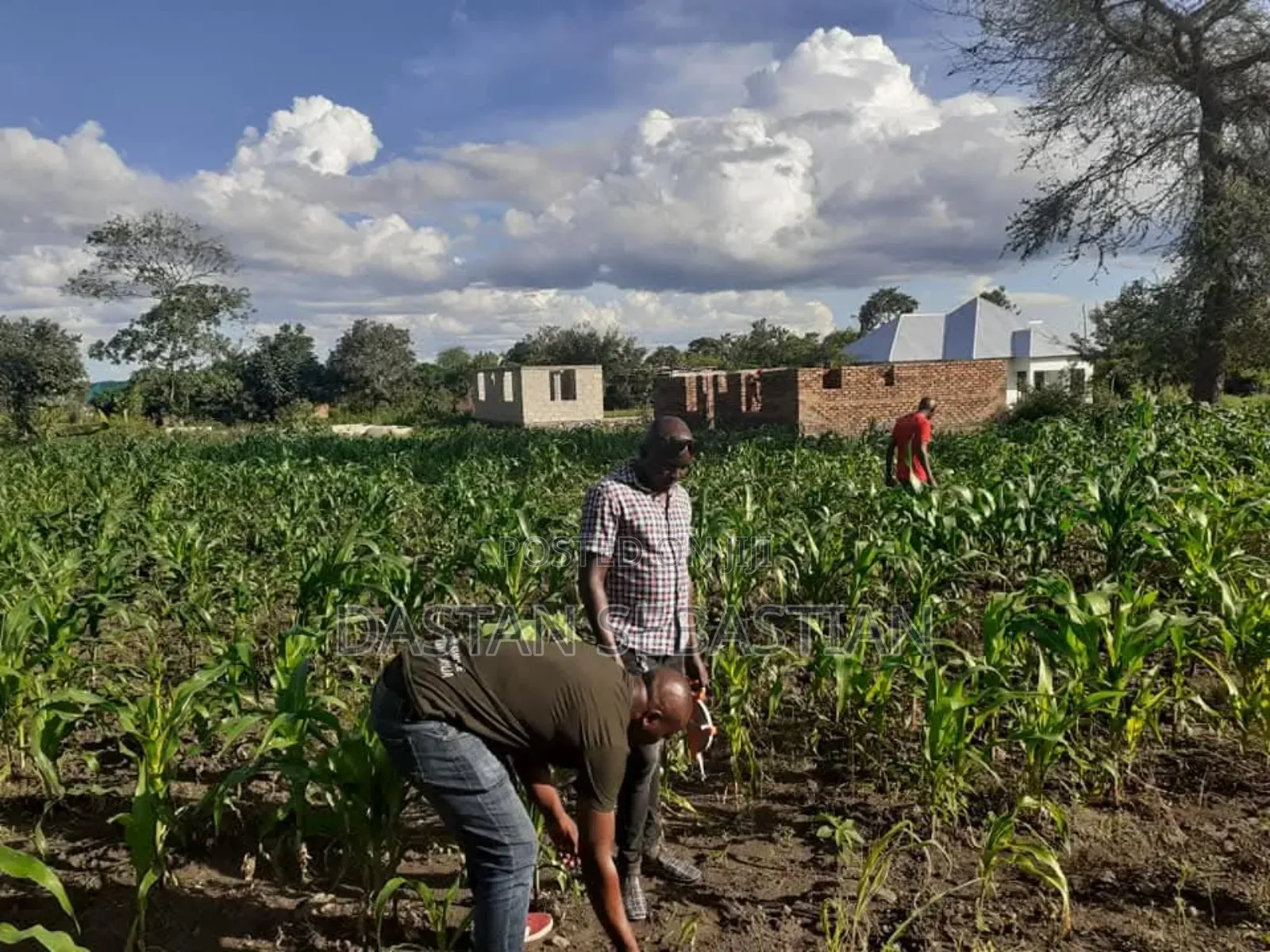 Maji Ya Chai Njia Ya Ng'ombe Na Maroroni in Arusha
