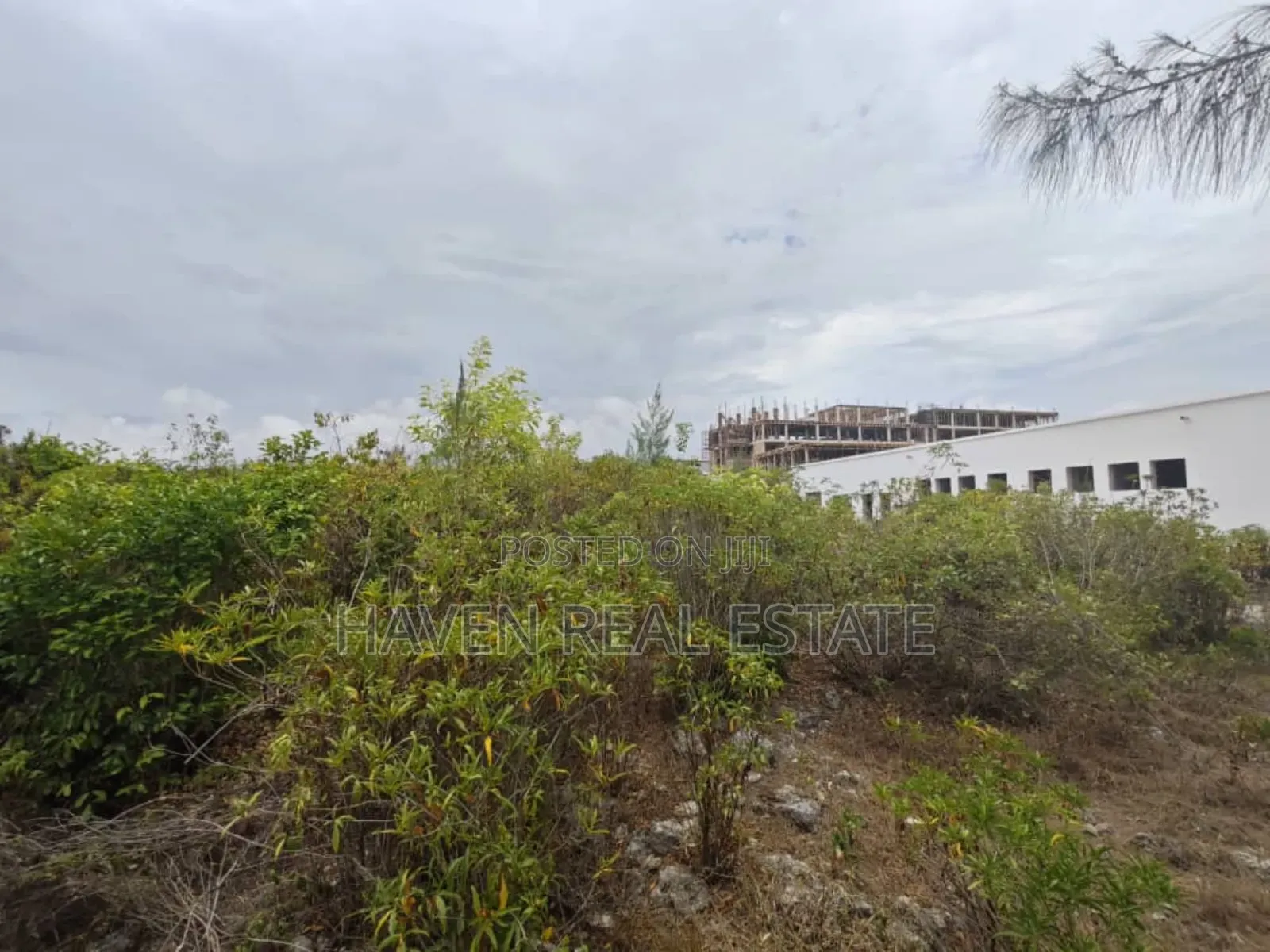 Beach Cliff for Sale at Zanzibar in Unguja South