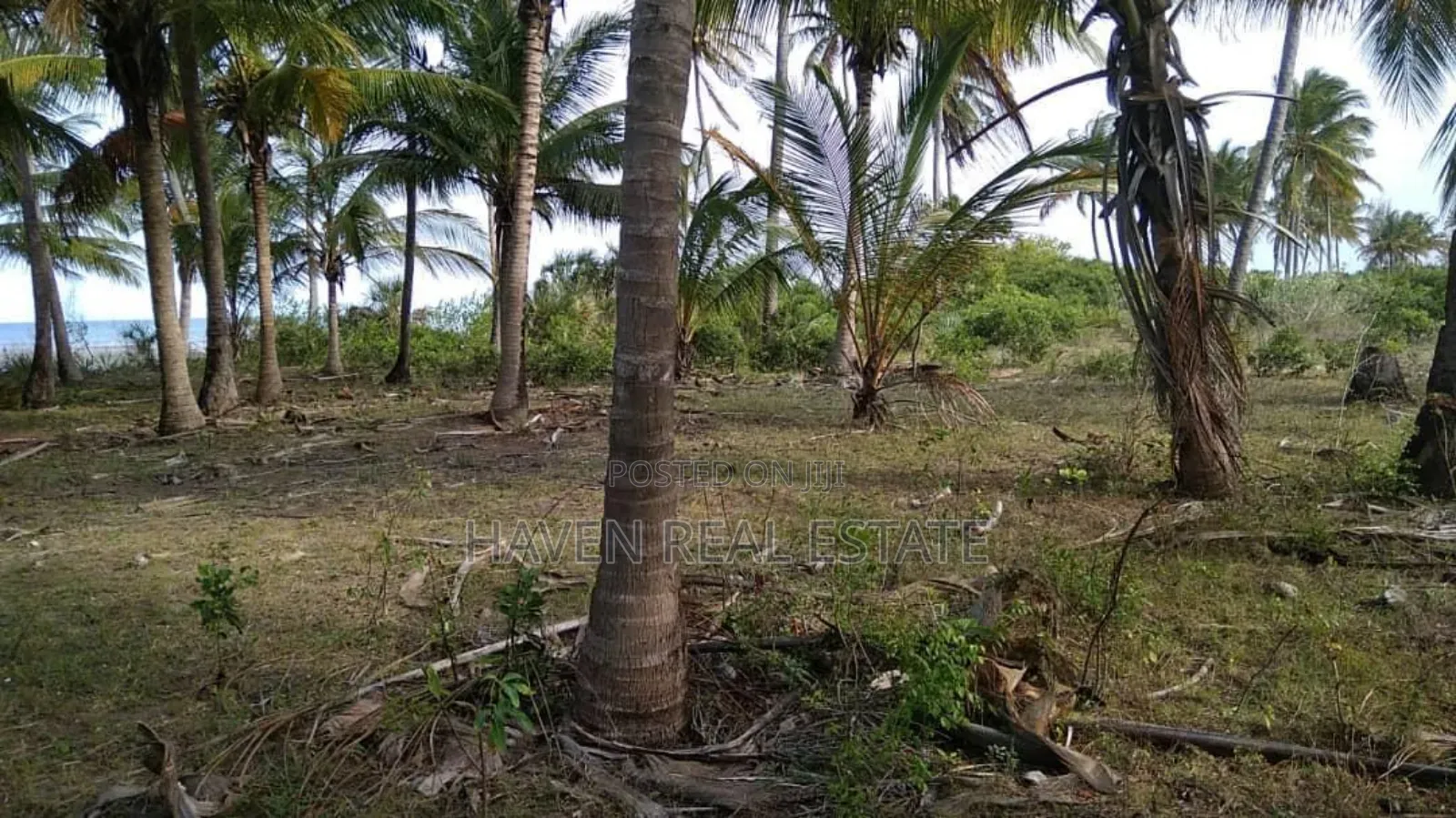 Beach Plot Ya Ekari 40 Inauzwa Mkwaja - Pangani, Tanga in Pangani