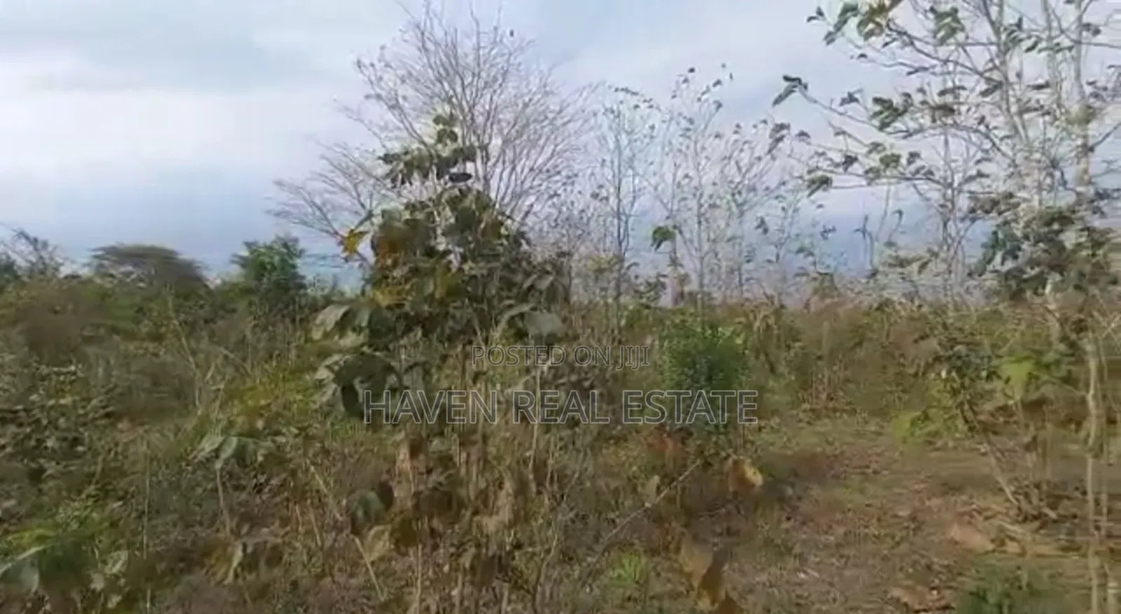 77acres Shamba Linauzwa Miswe Kibaha in Kibaha